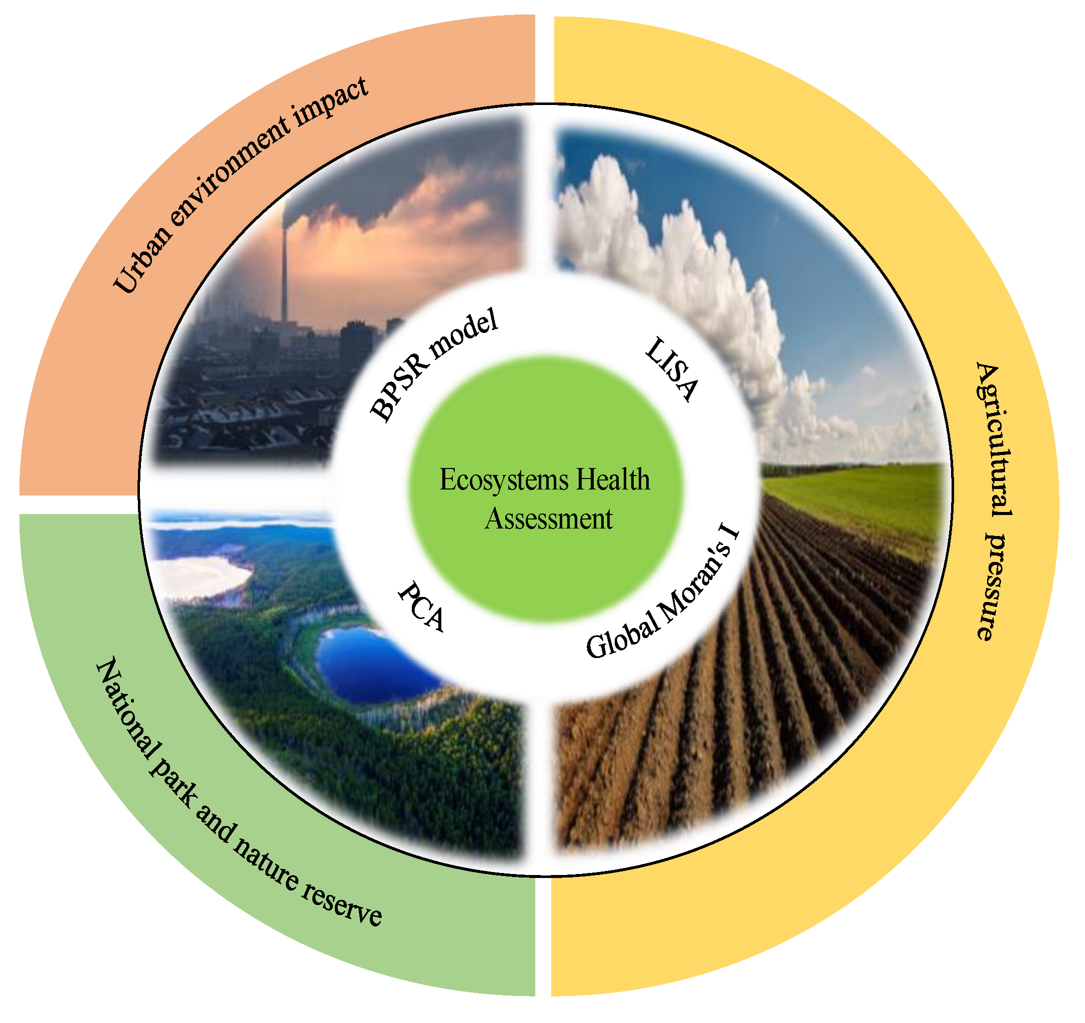Preprints 141800 g001