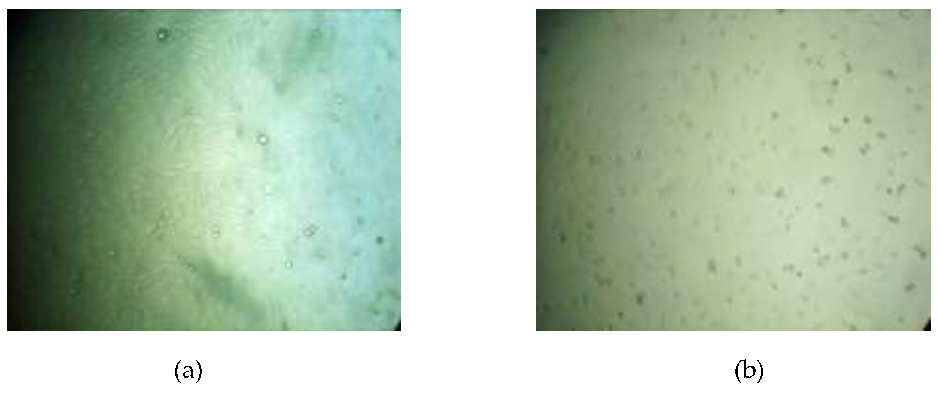 Preprints 197451 g012