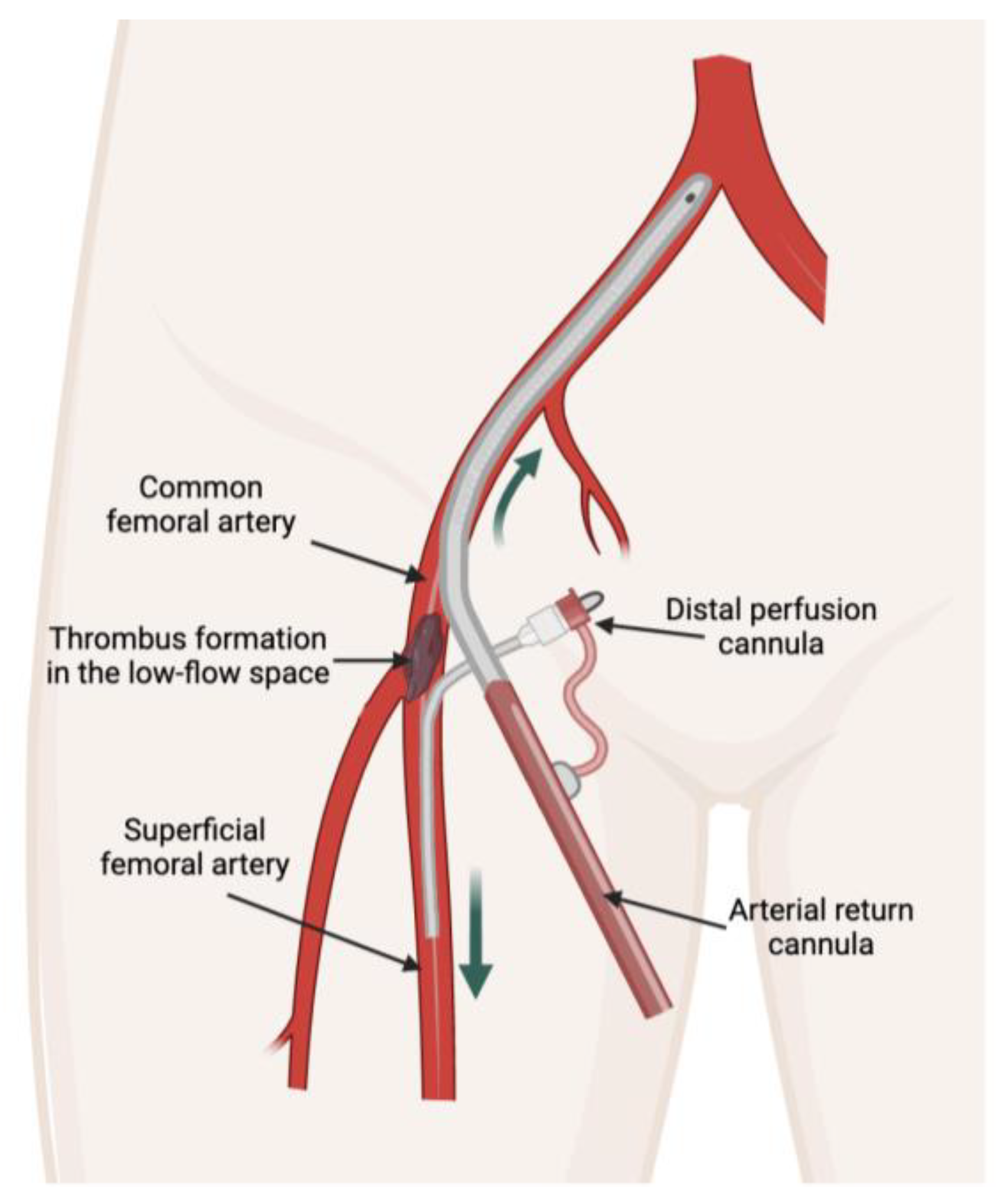 Preprints 67752 g001