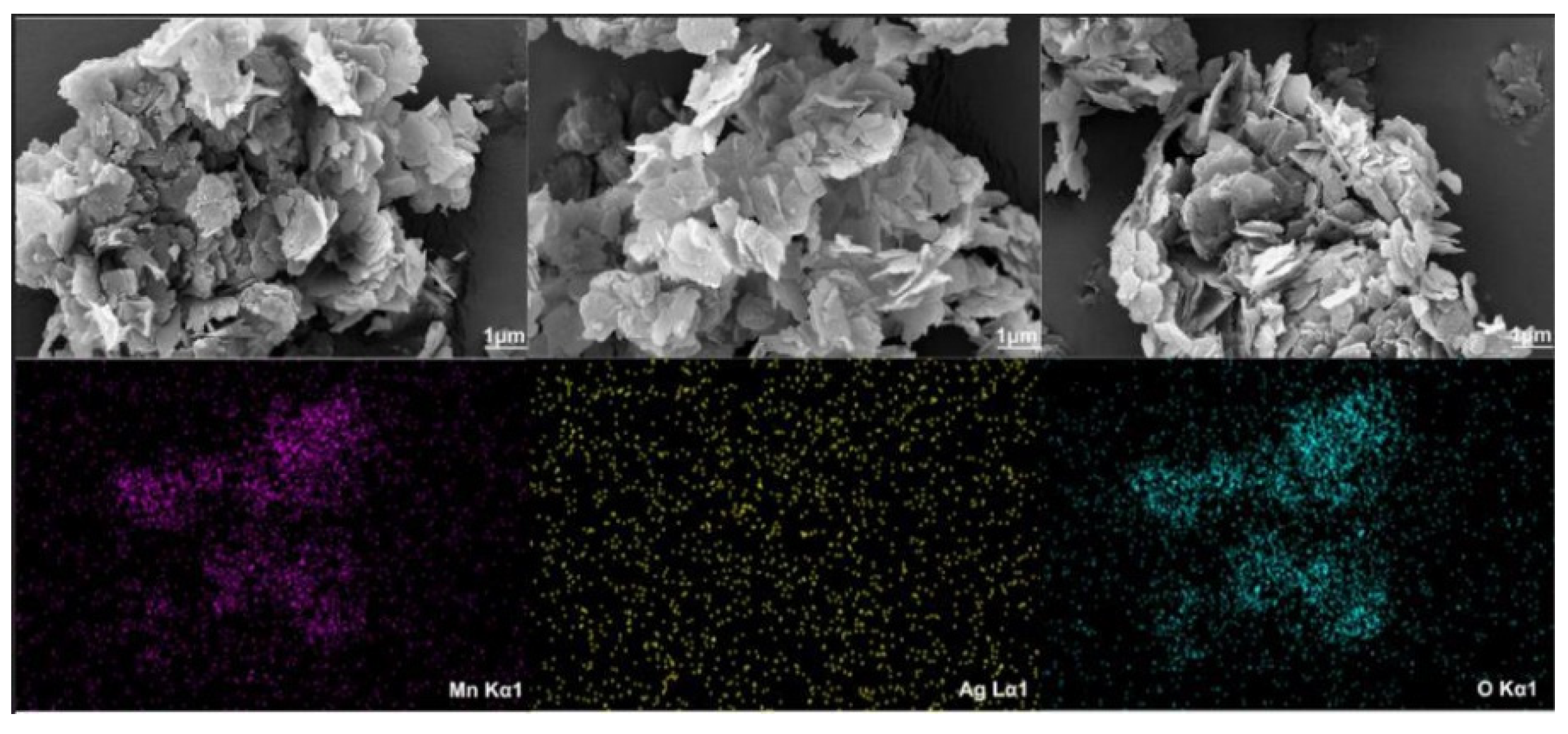 Preprints 178082 g007