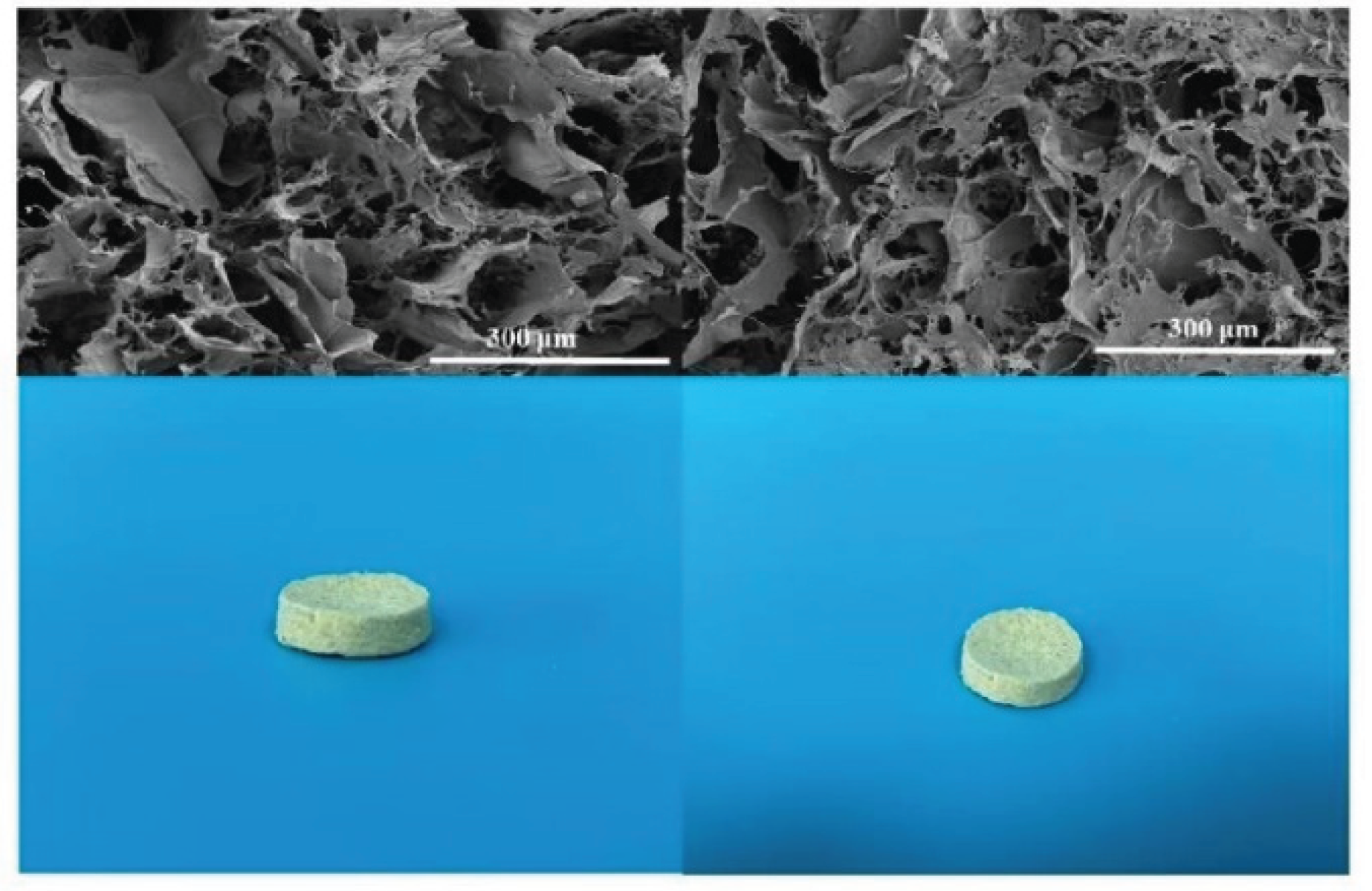 Preprints 178082 g008