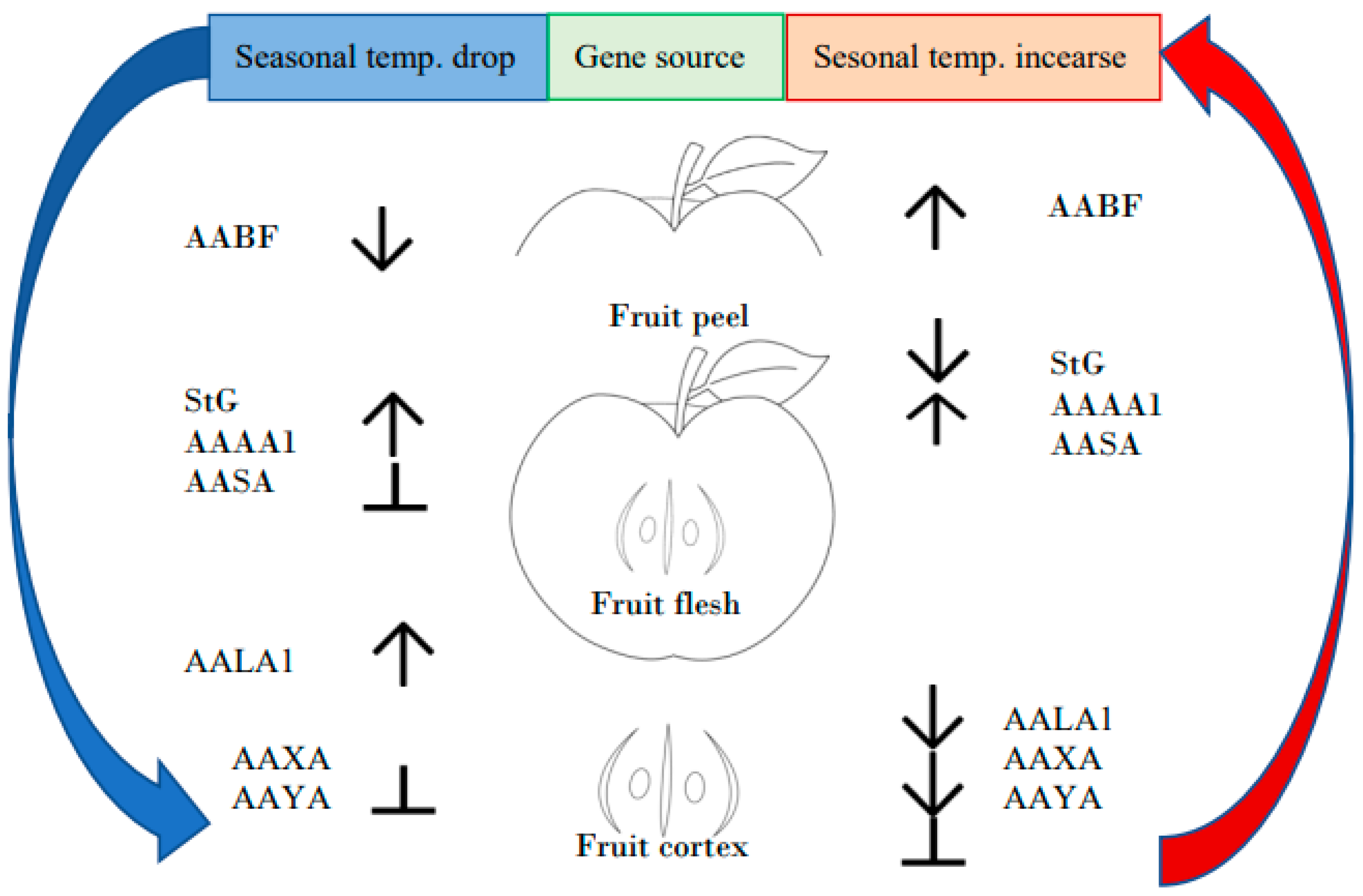 Preprints 151605 g002
