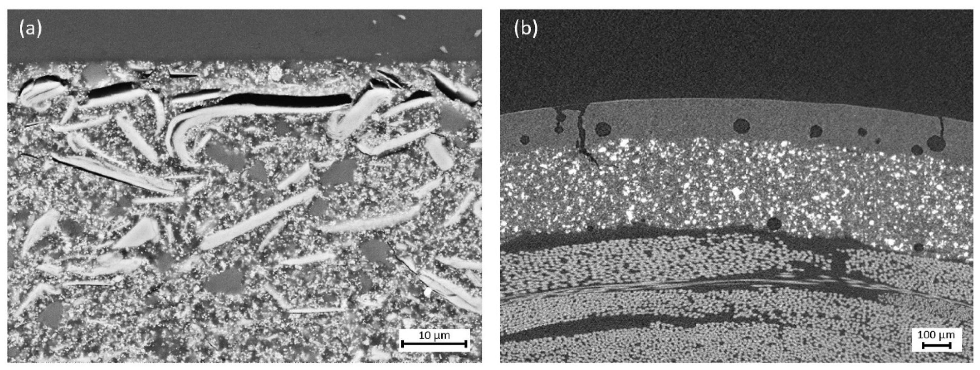 Preprints 183764 g012