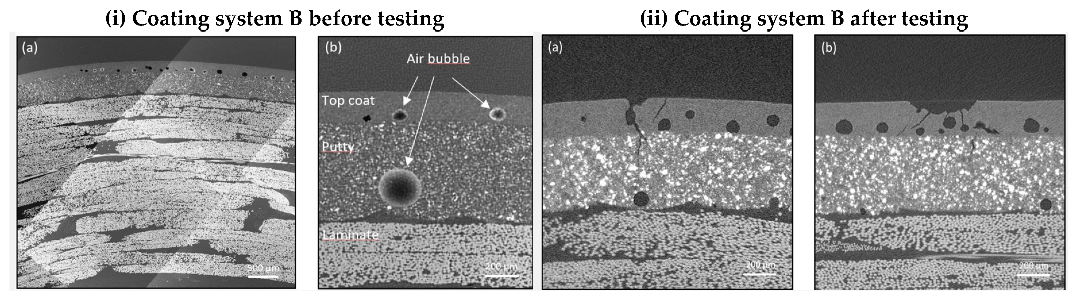 Preprints 183764 g013
