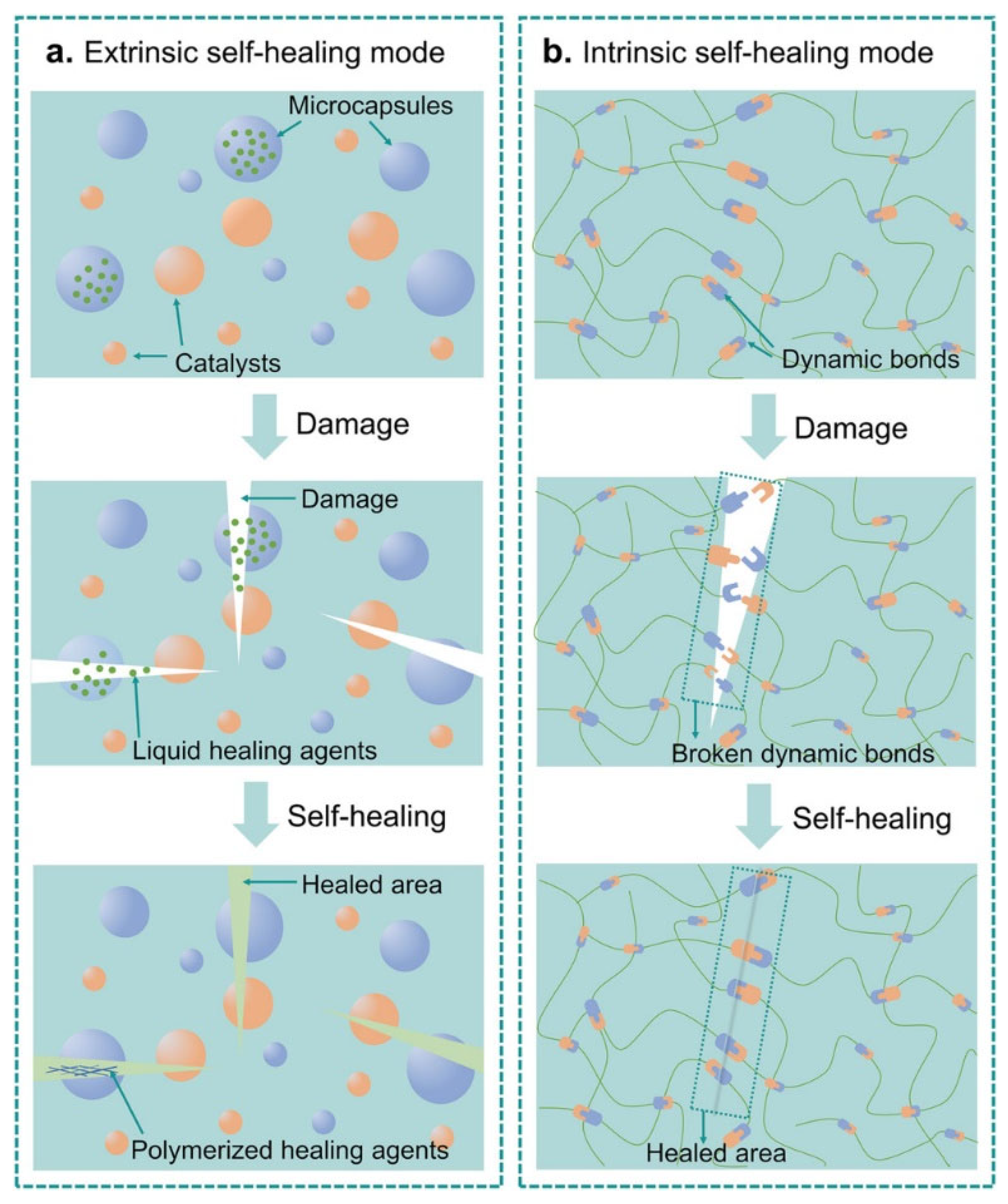 Preprints 183764 g021