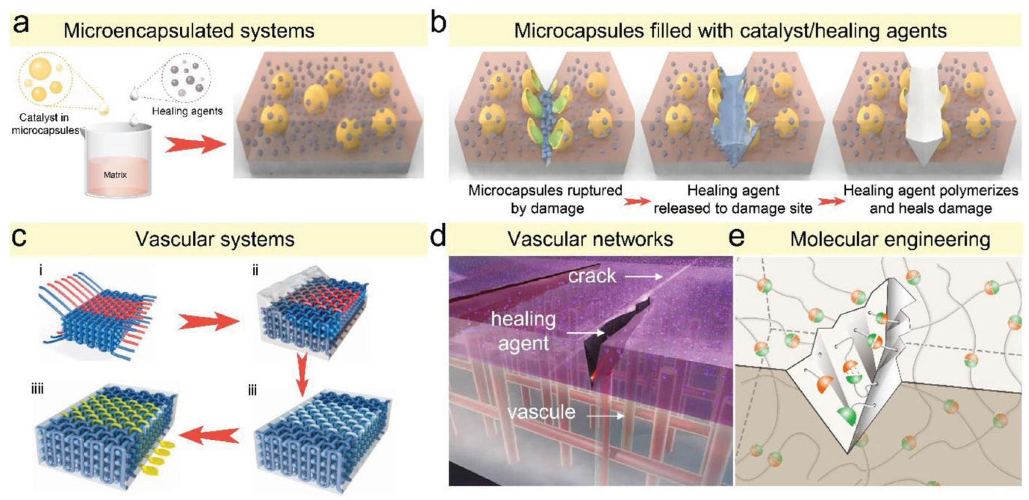 Preprints 183764 g023