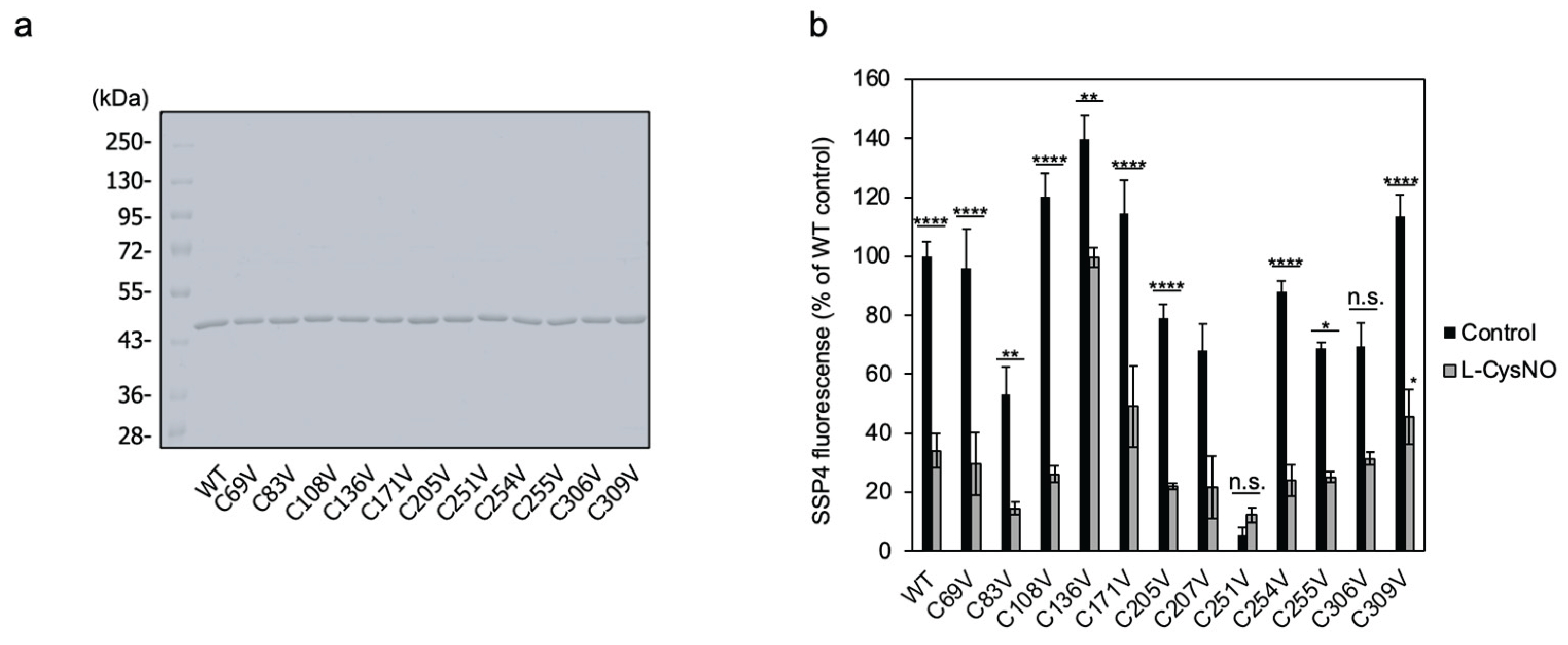 Preprints 167086 g005a
