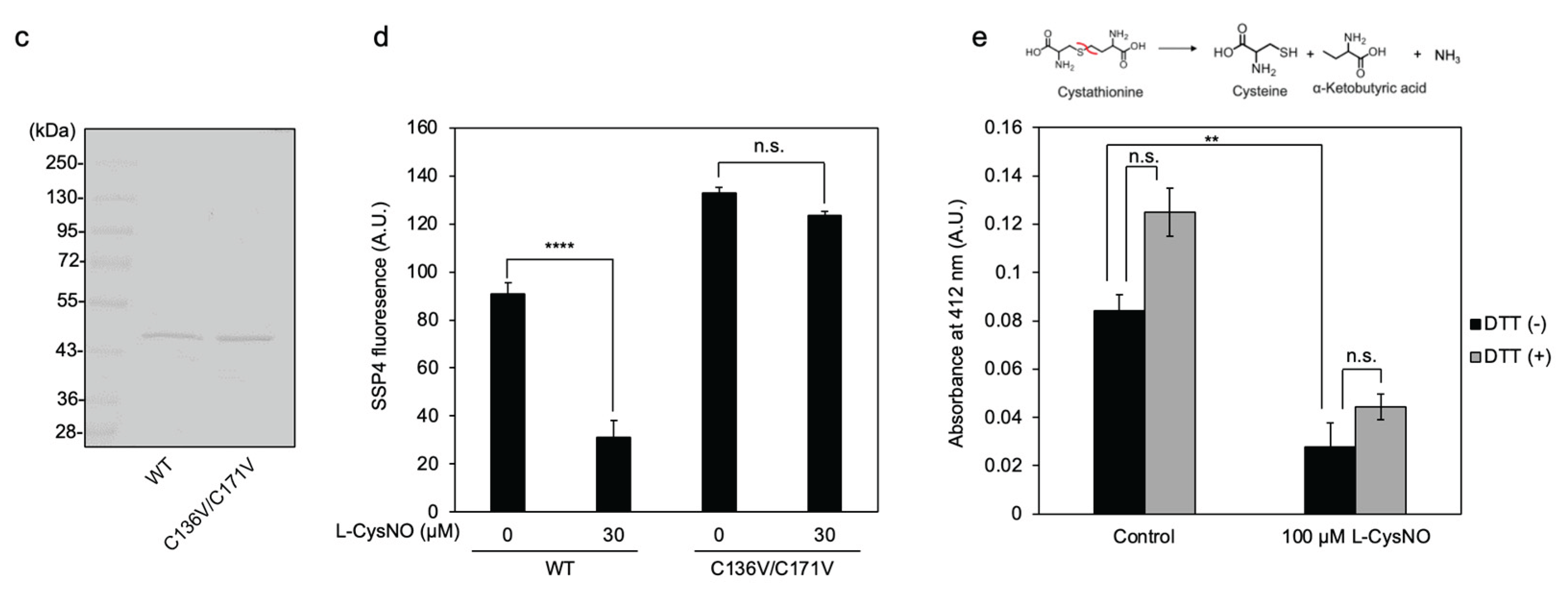 Preprints 167086 g005b