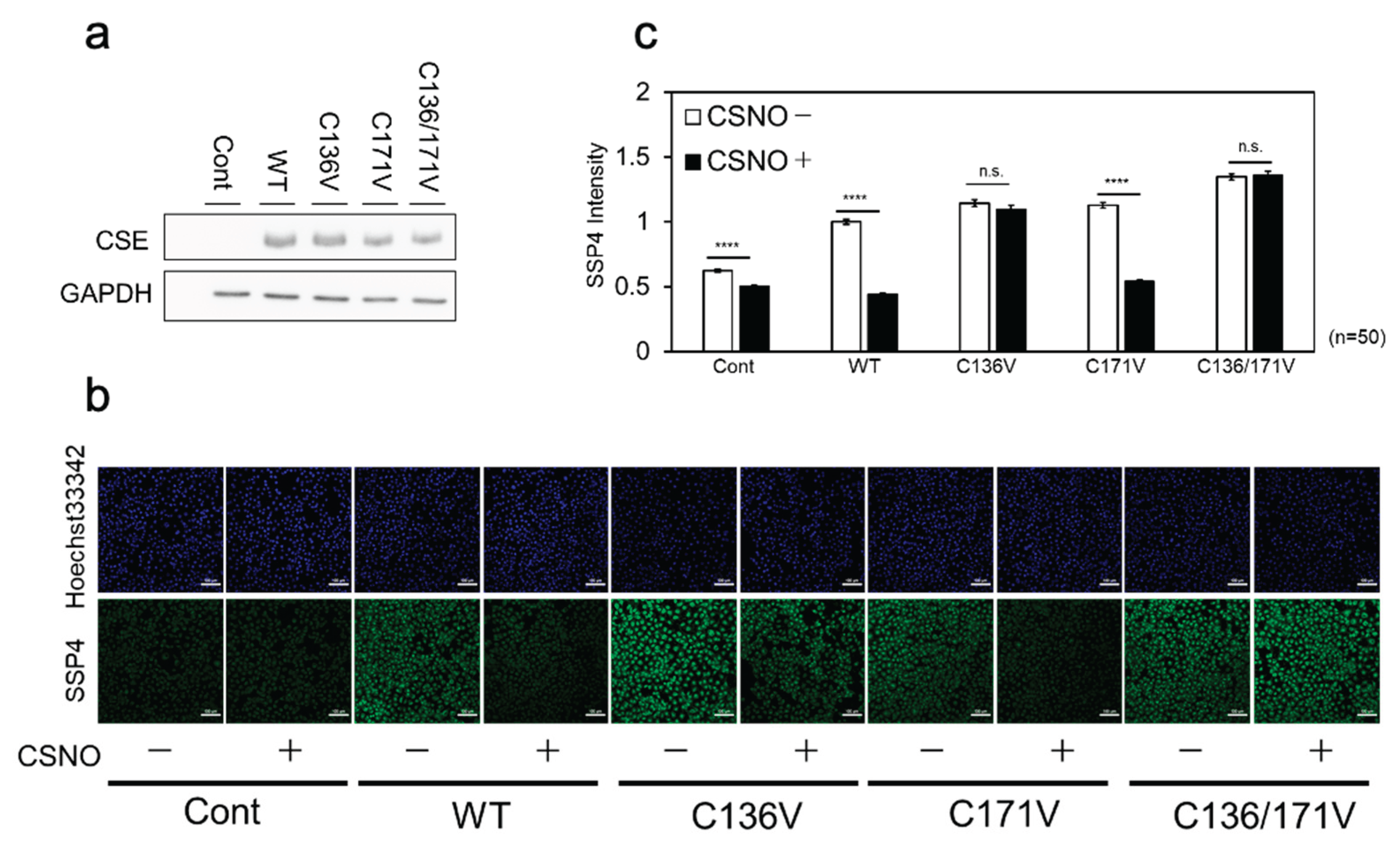Preprints 167086 g006