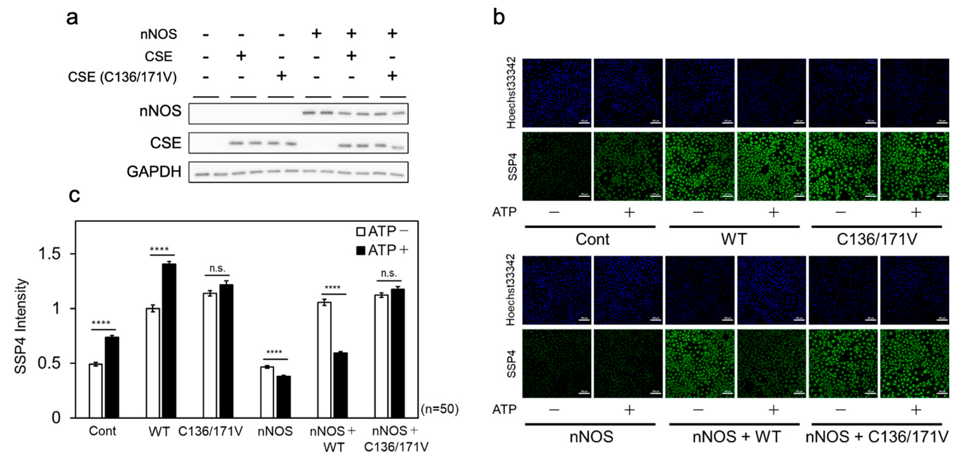 Preprints 167086 g007