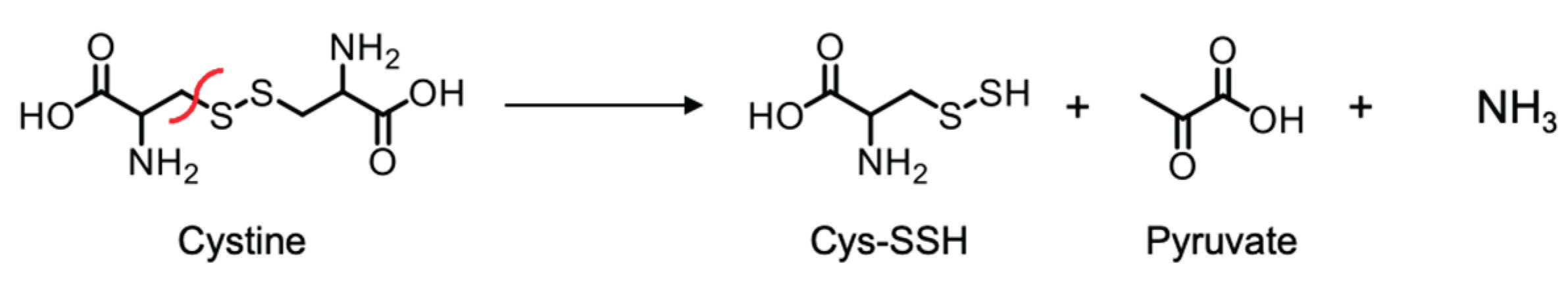 Preprints 167086 sch001