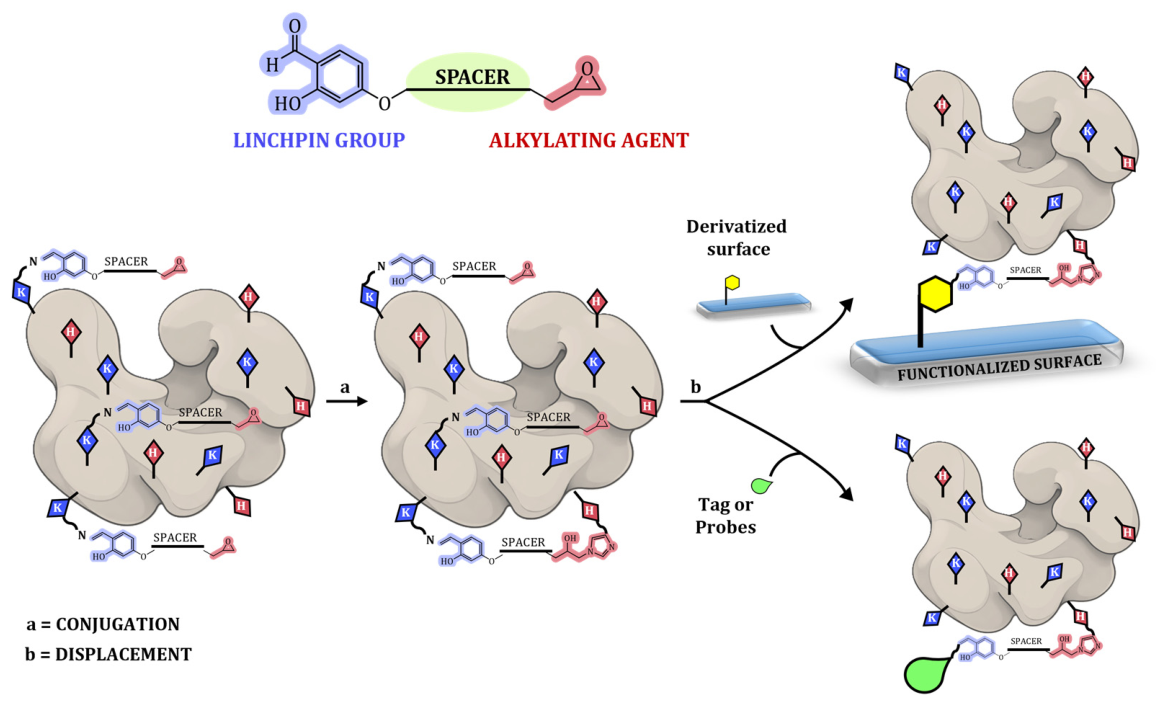 Preprints 214920 g002
