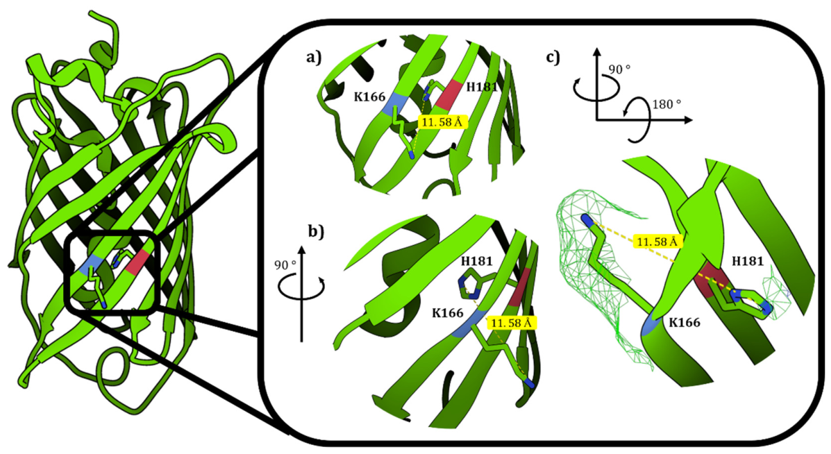 Preprints 214920 g006