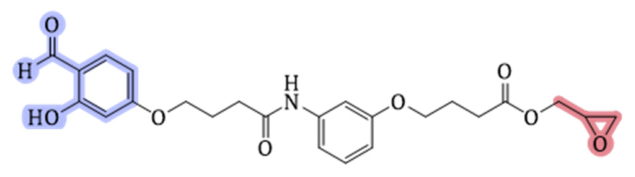 Preprints 214920 i004
