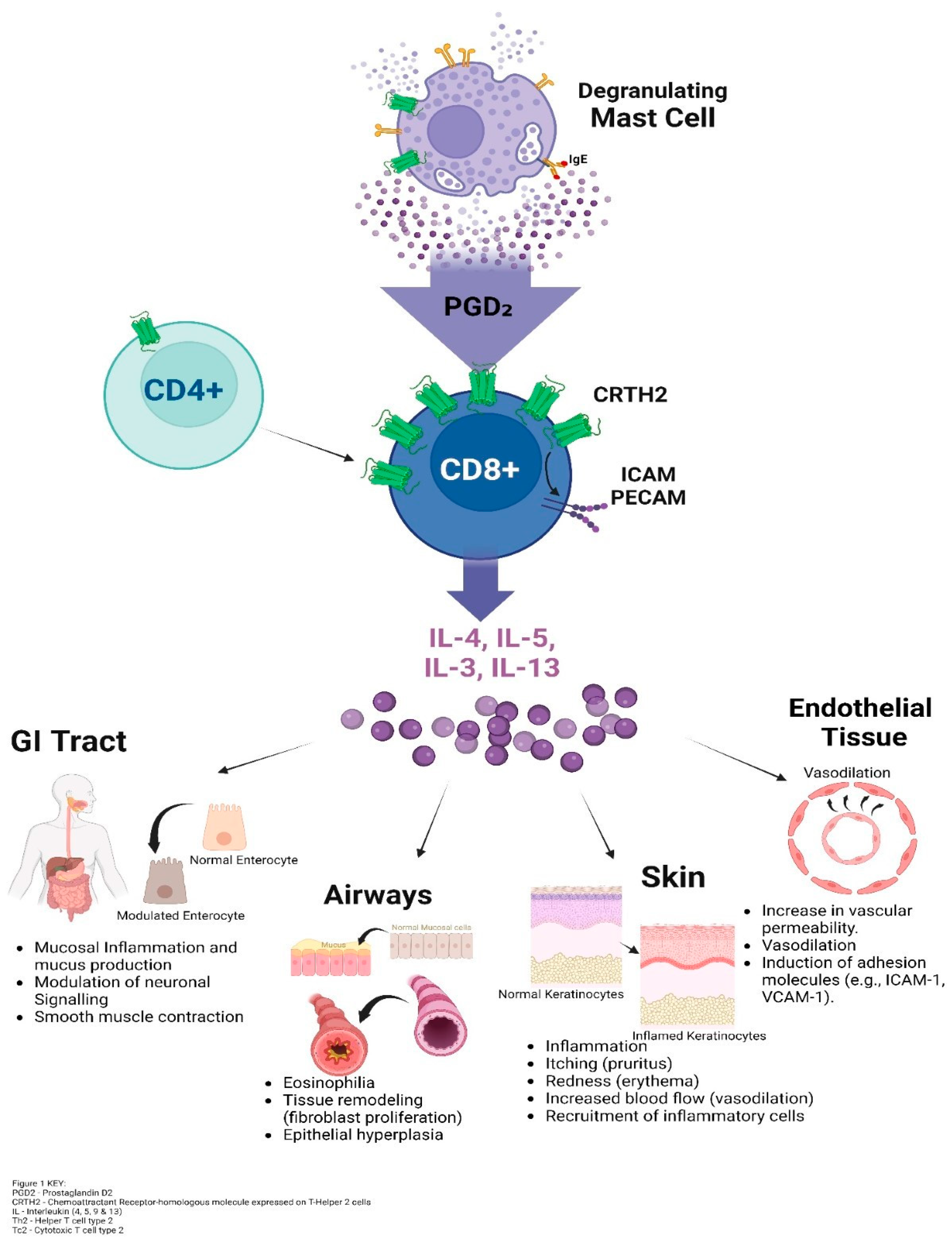 Preprints 156628 g001