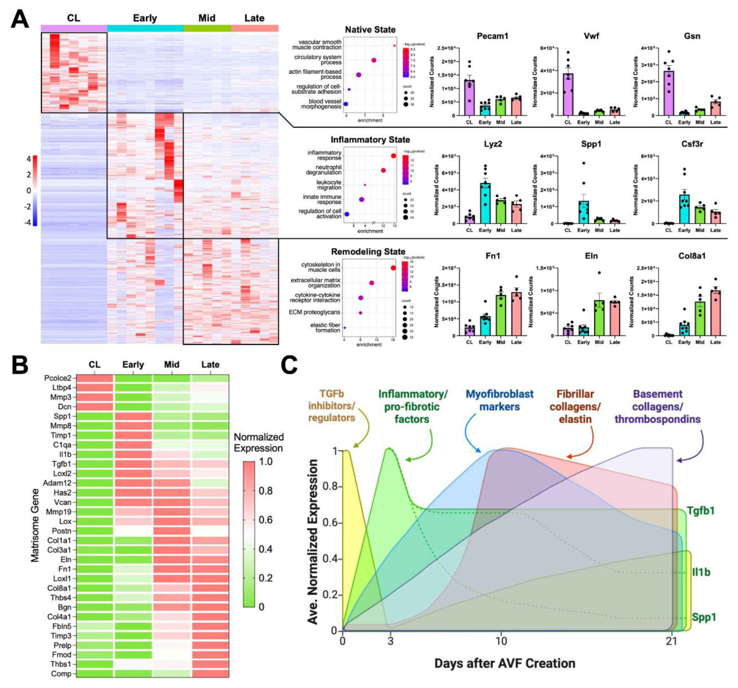 Preprints 183818 g001