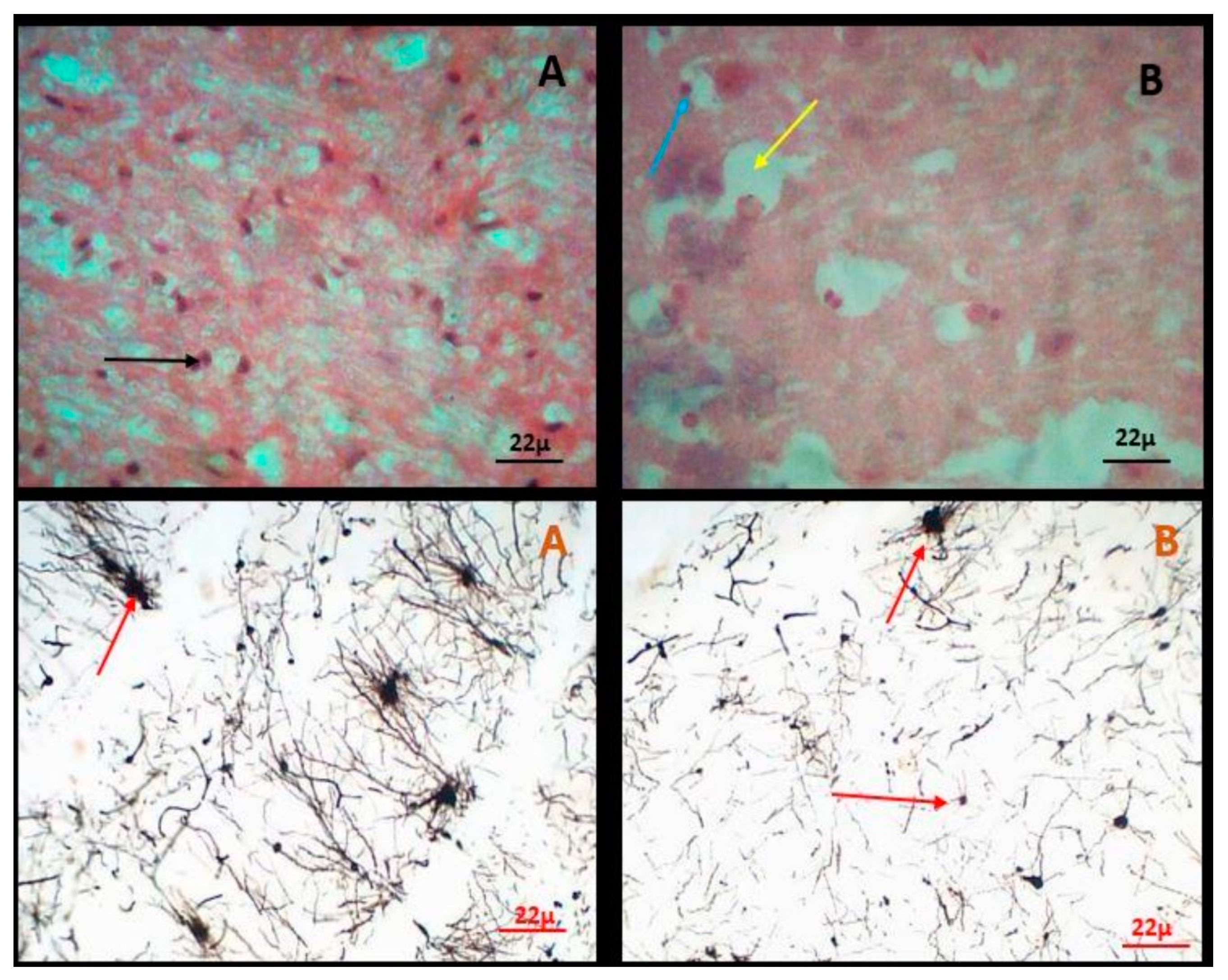 Preprints 84518 g004