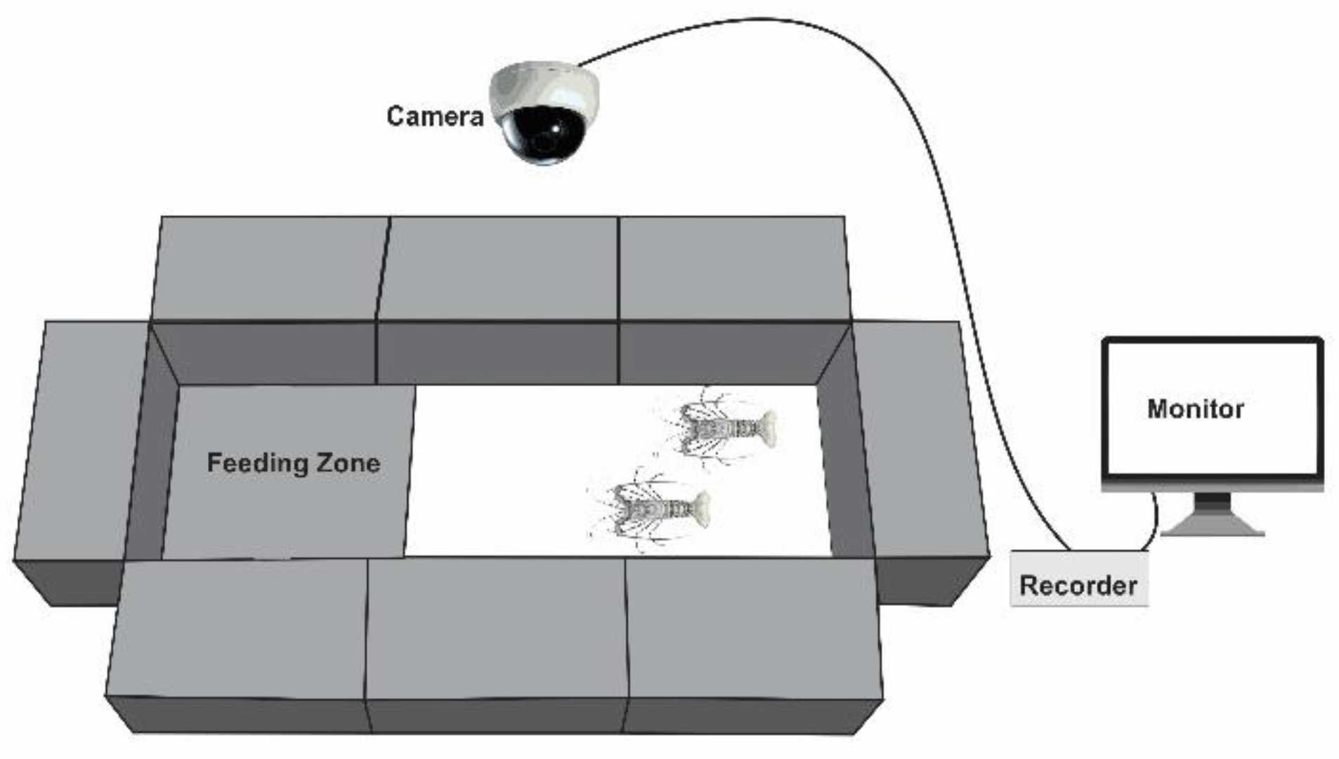 Preprints 183740 g001