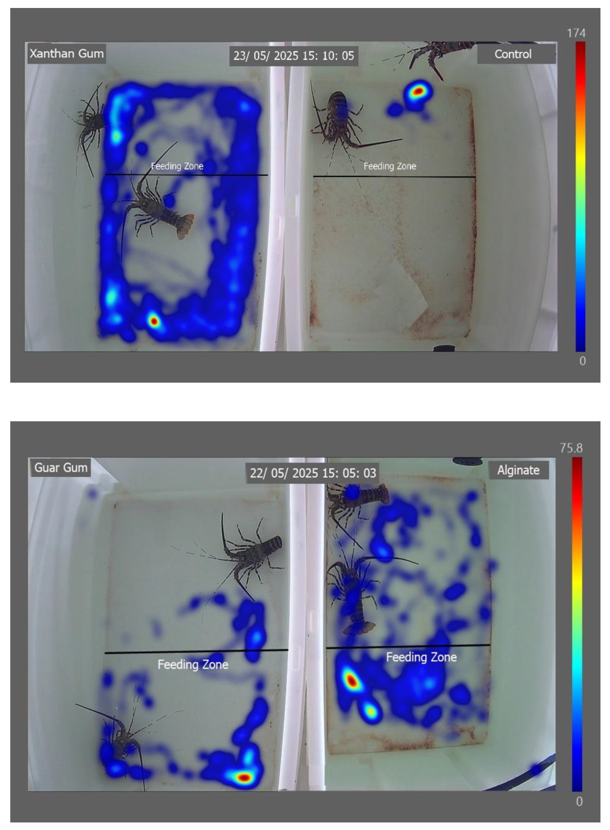 Preprints 183740 g003a
