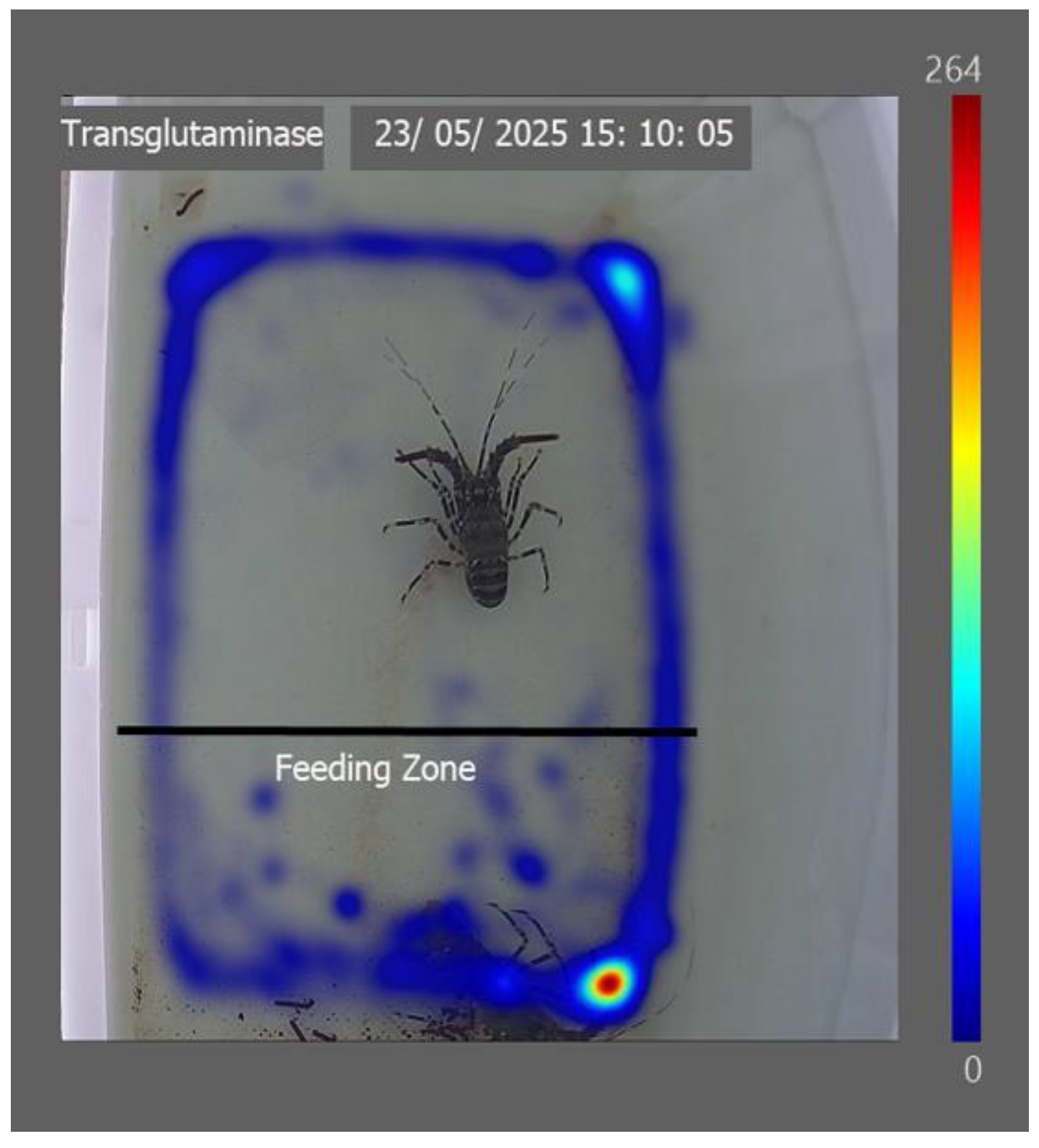 Preprints 183740 g003b