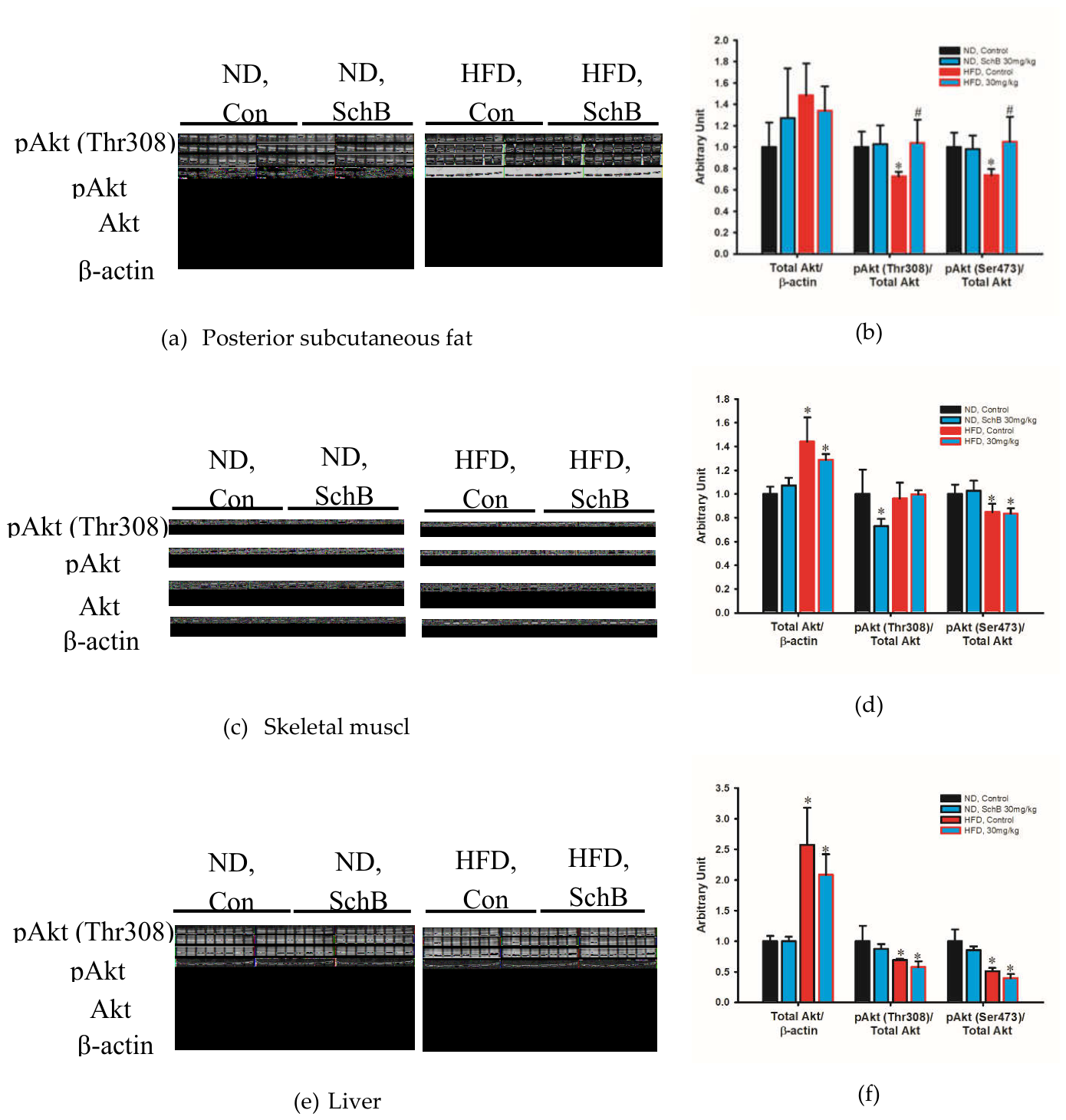 Preprints 214616 g012 Preprints 214616 g012