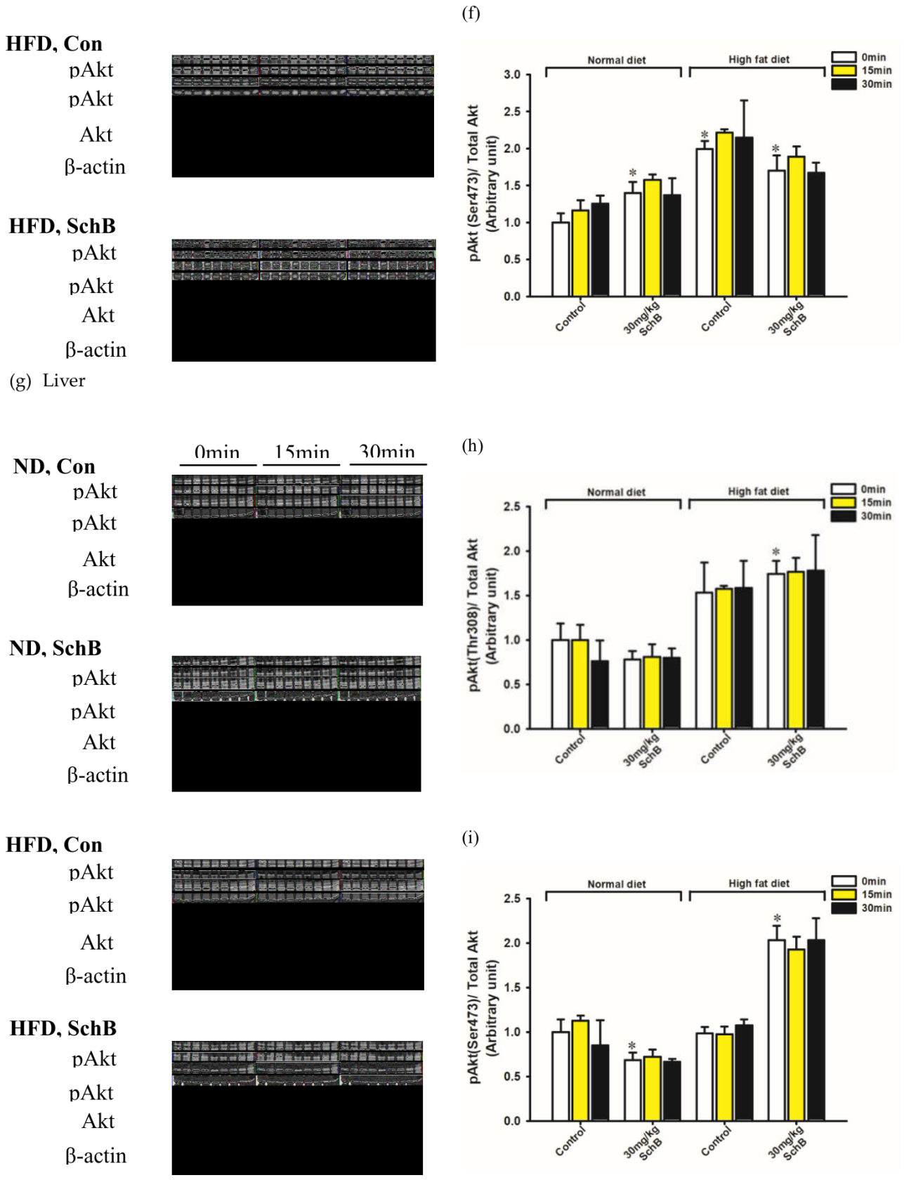 Preprints 214616 g013b