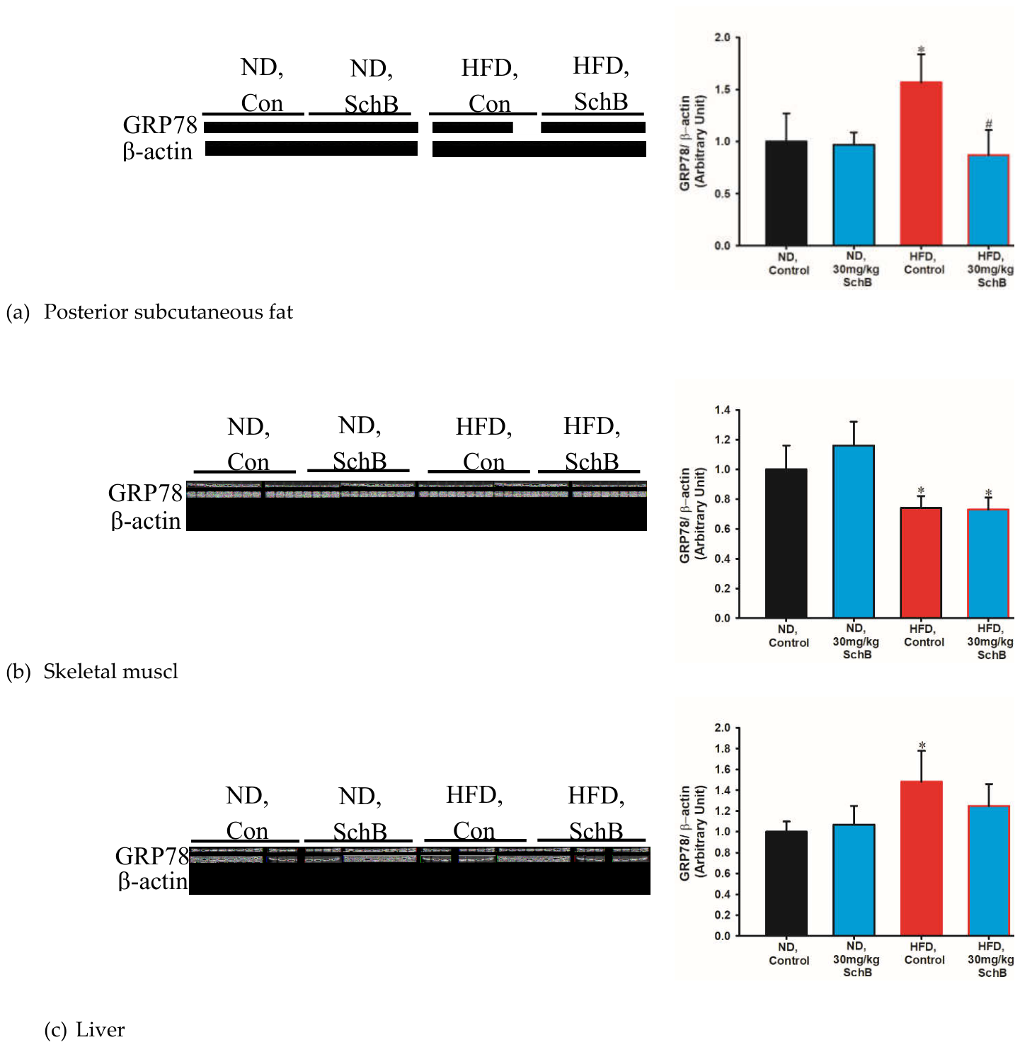 Preprints 214616 g014 Preprints 214616 g014
