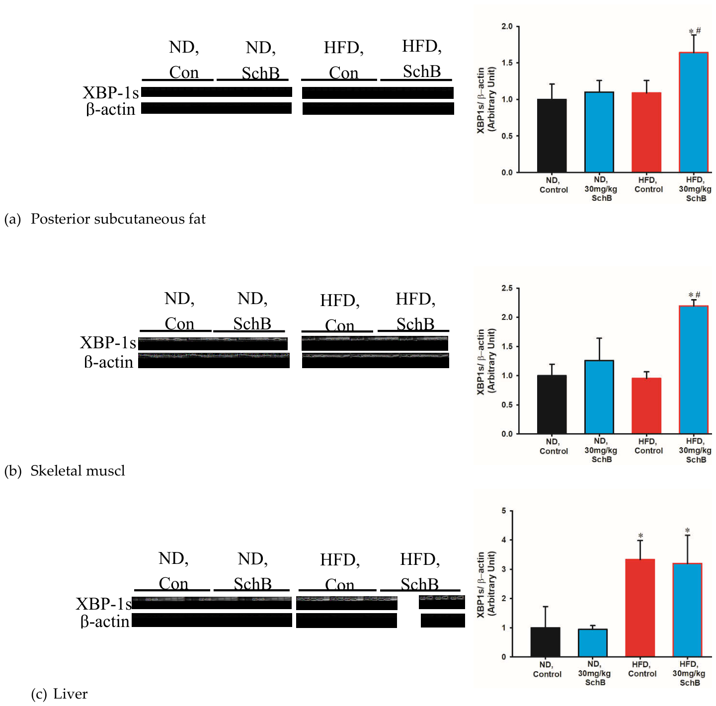 Preprints 214616 g015 Preprints 214616 g015
