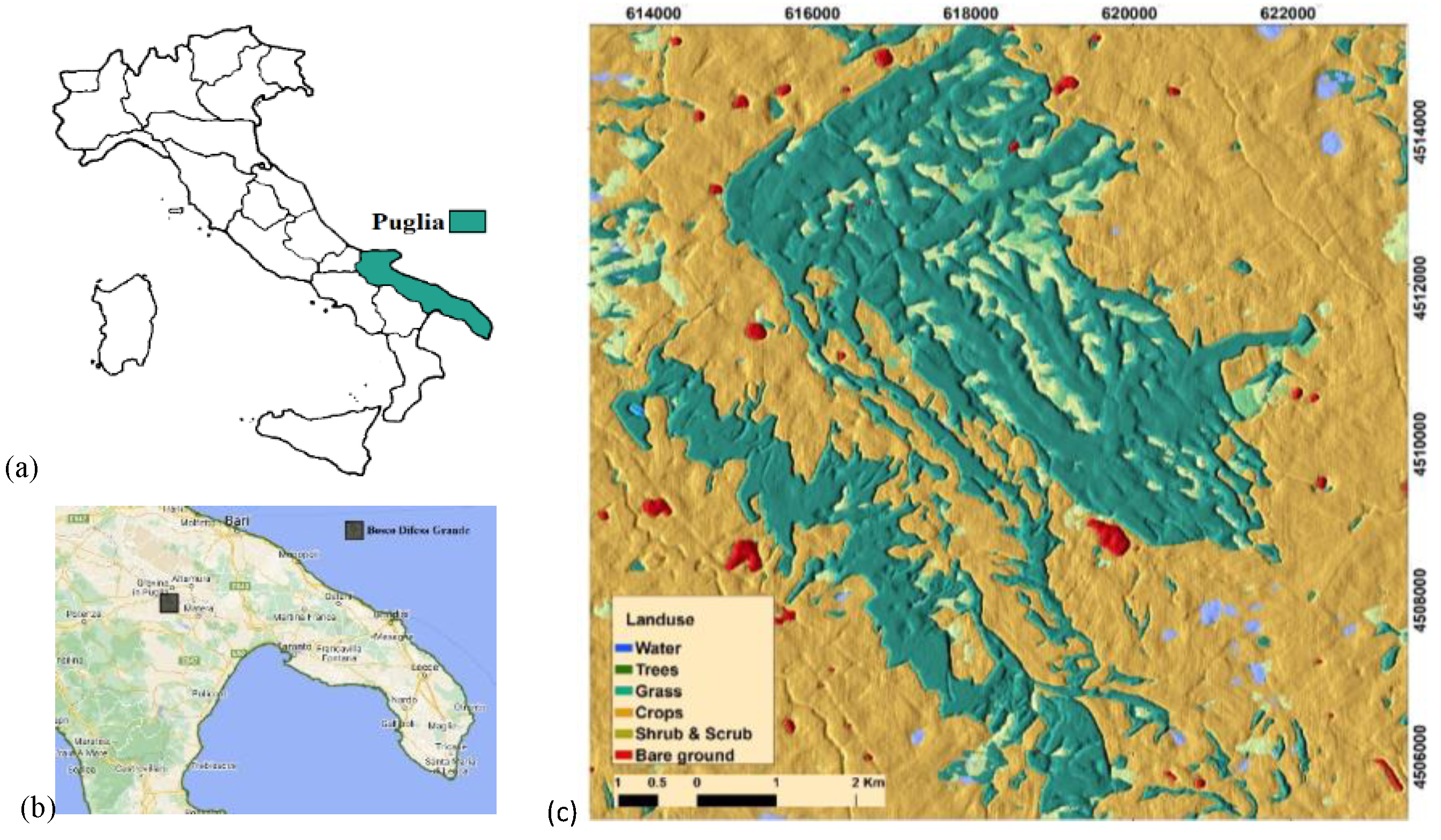 Preprints 155392 g001