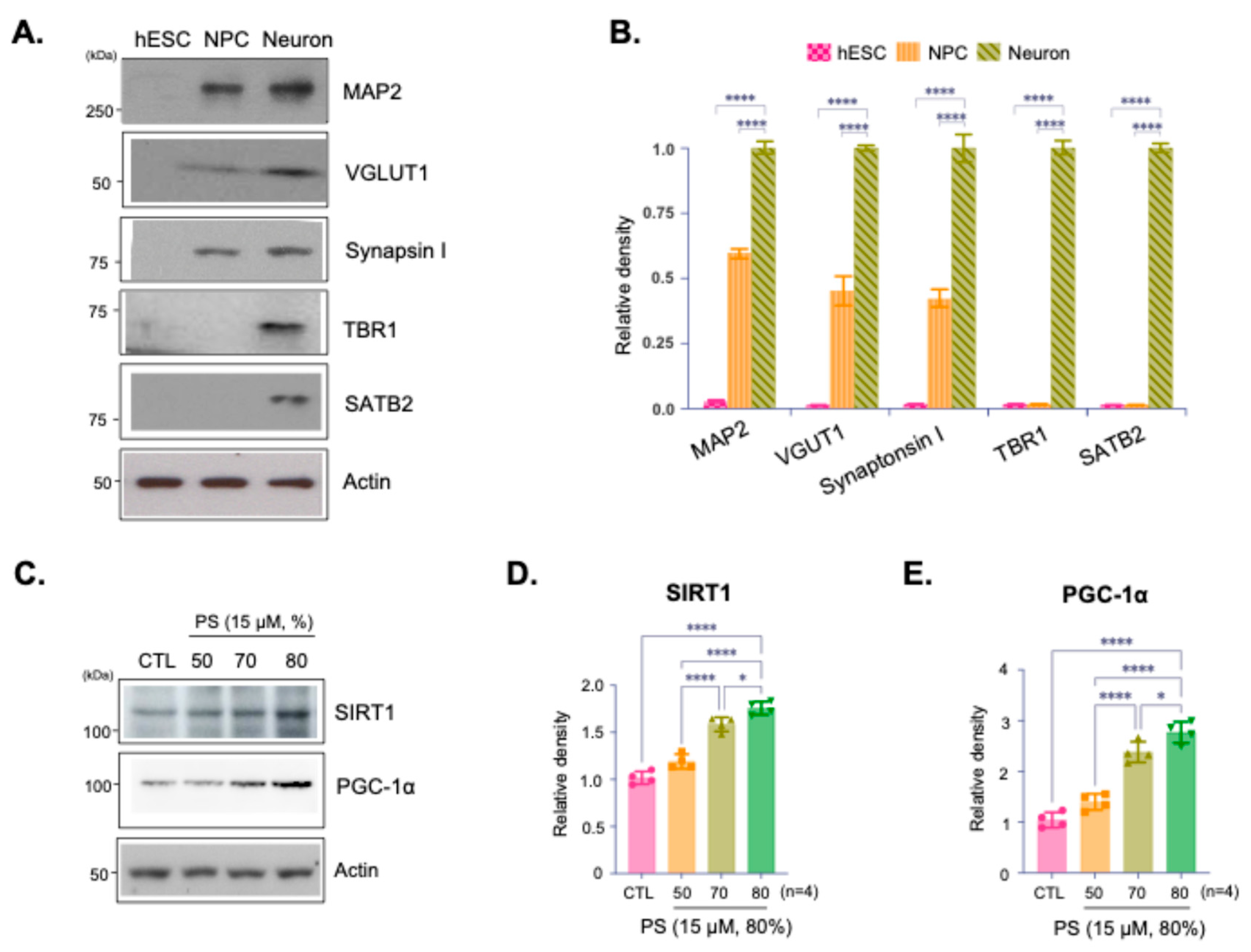 Preprints 191388 g001