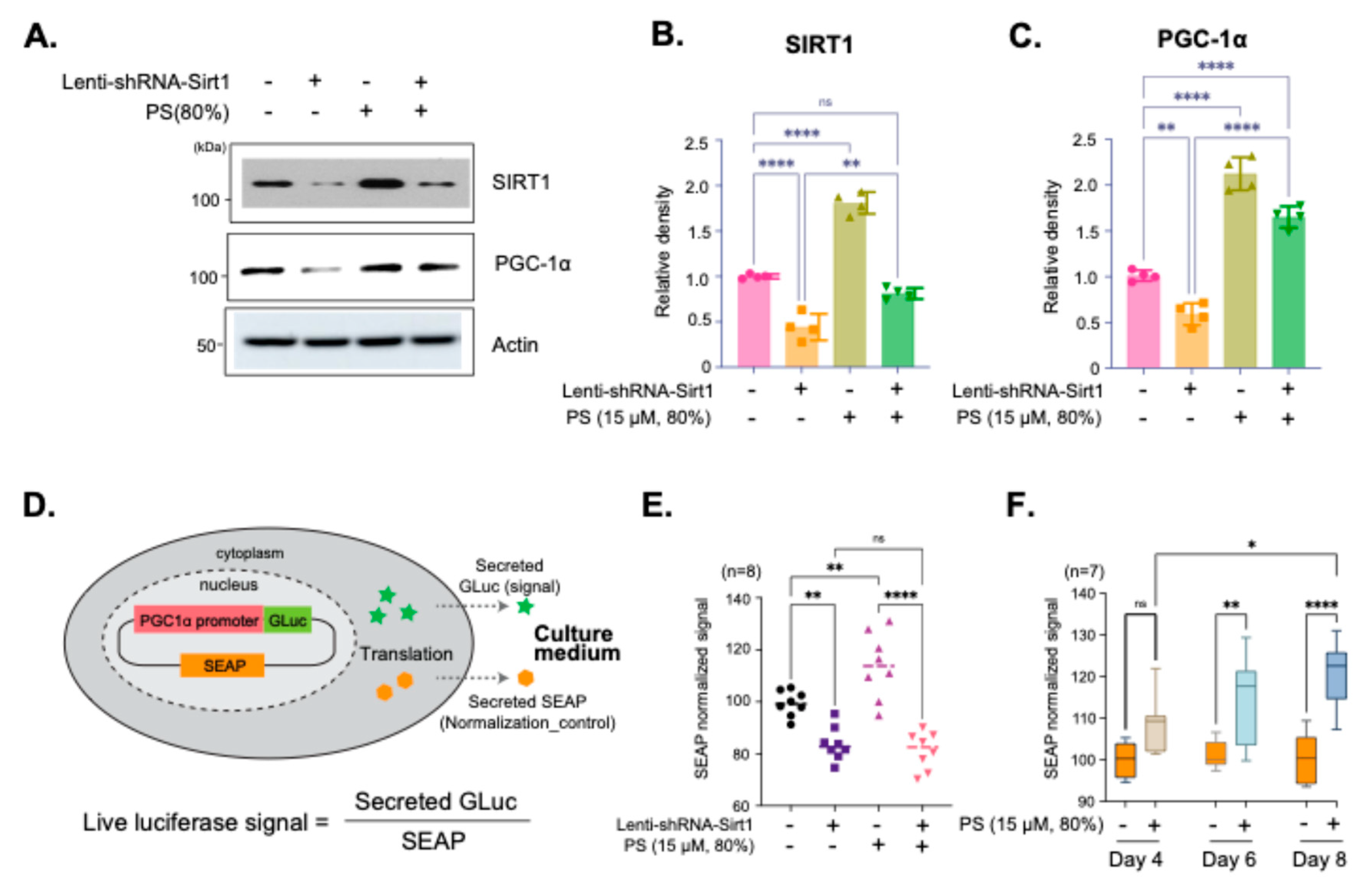 Preprints 191388 g002