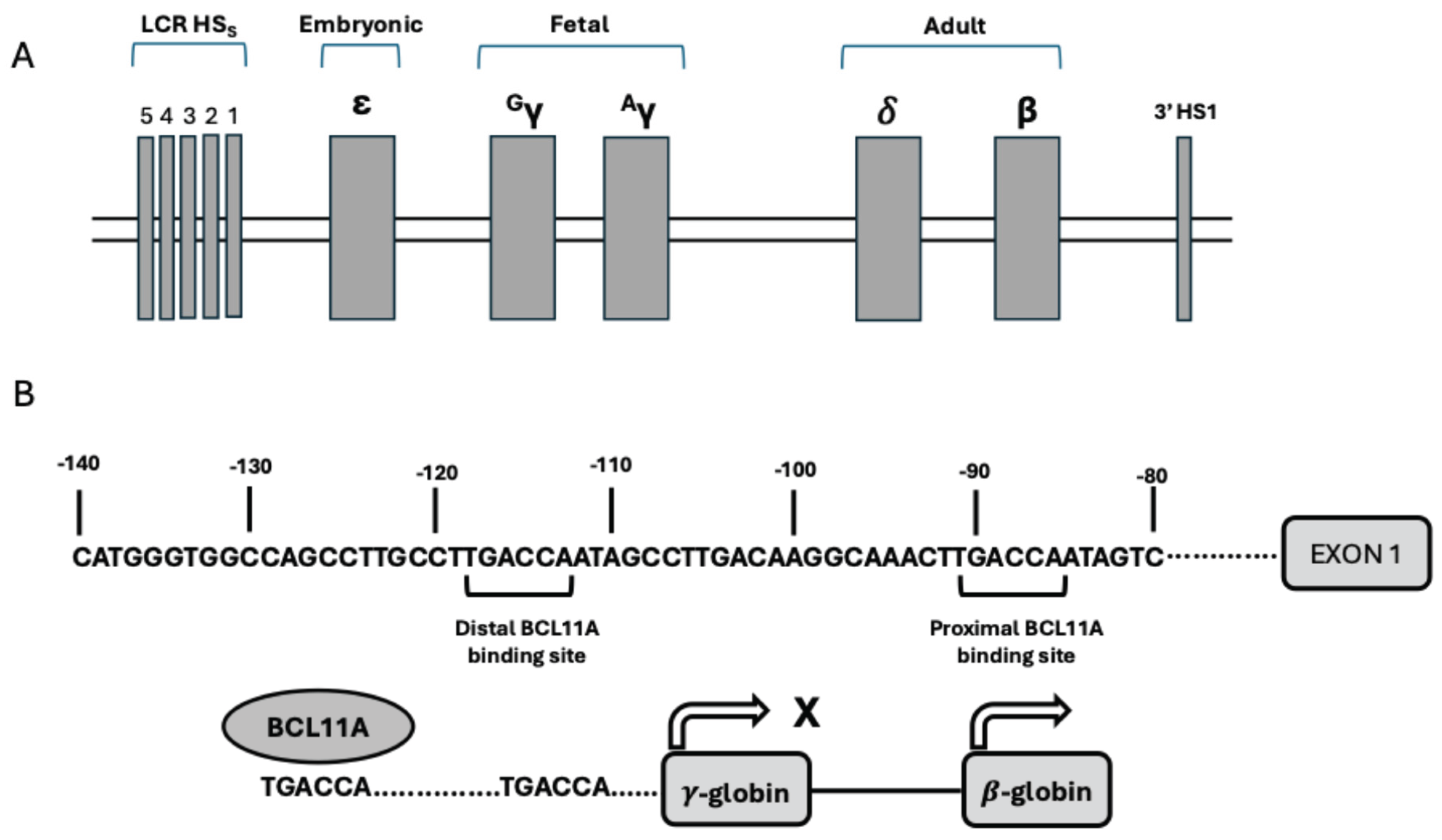 Preprints 184808 g001