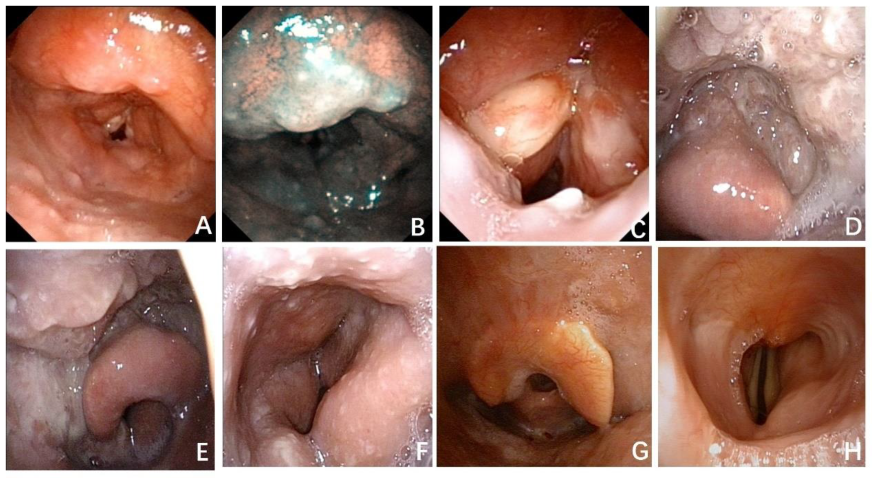 Preprints 152450 g001