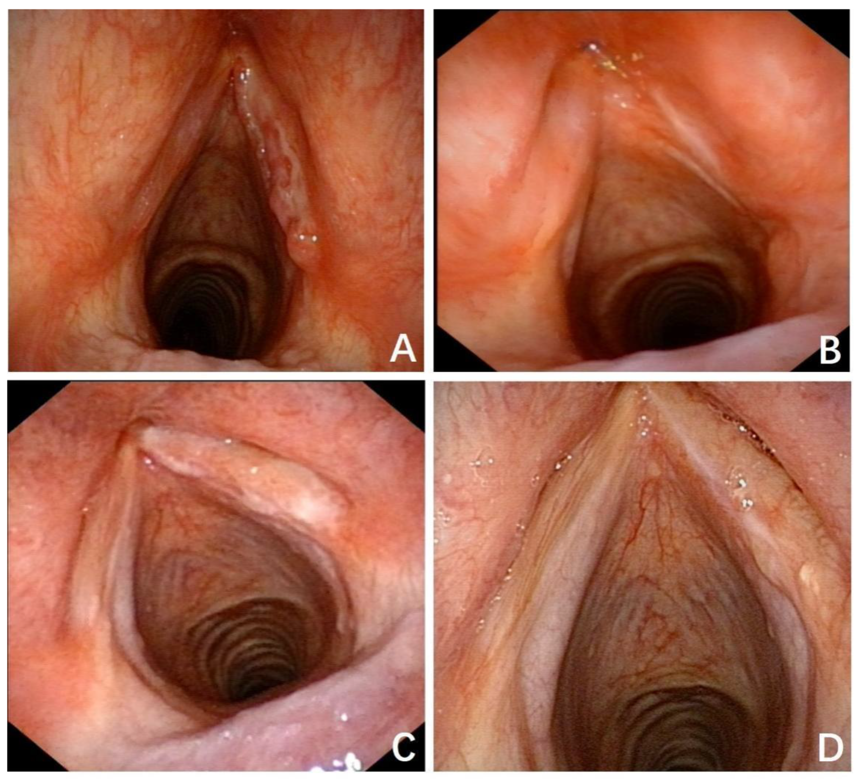 Preprints 152450 g002
