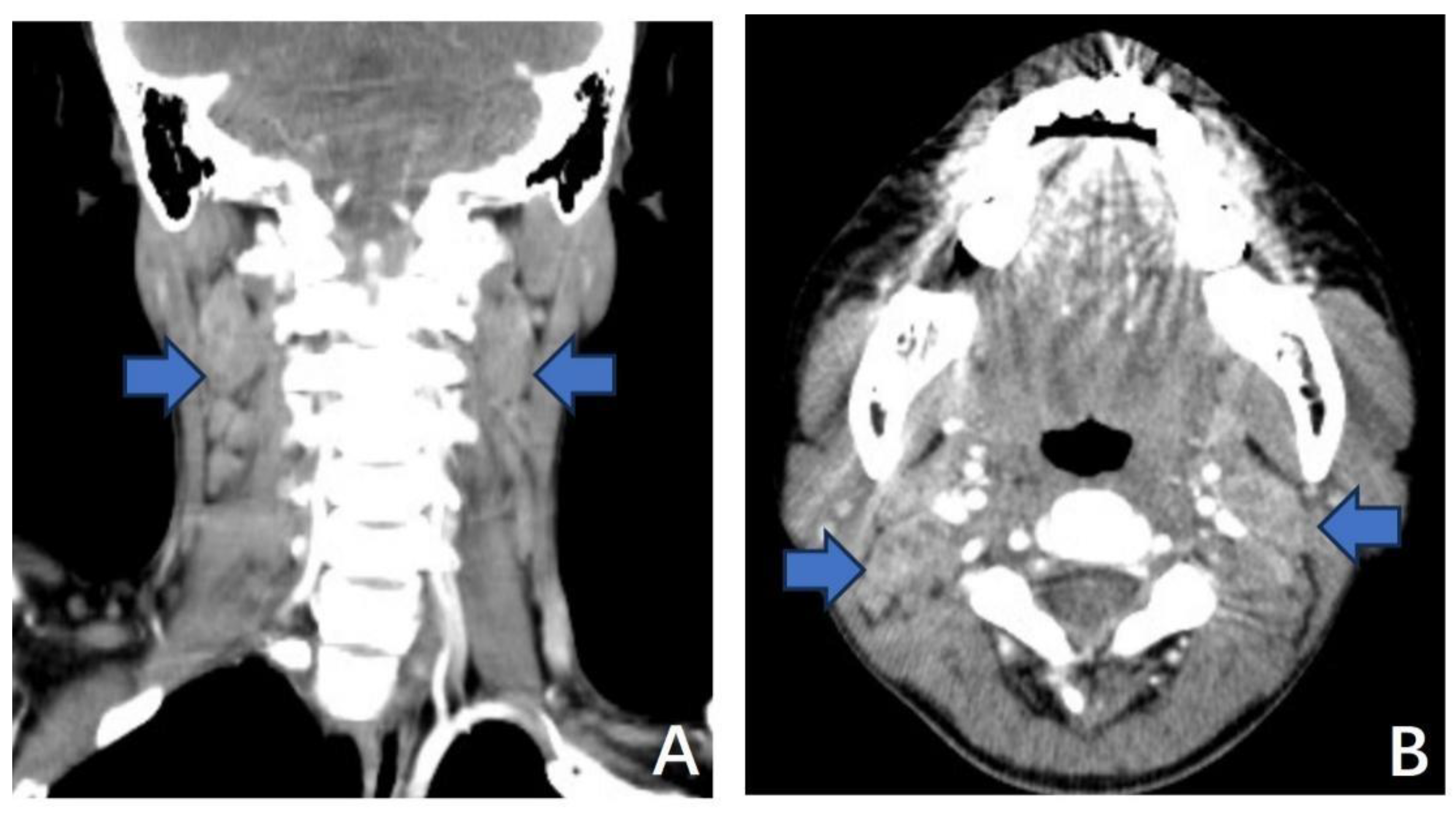 Preprints 152450 g003