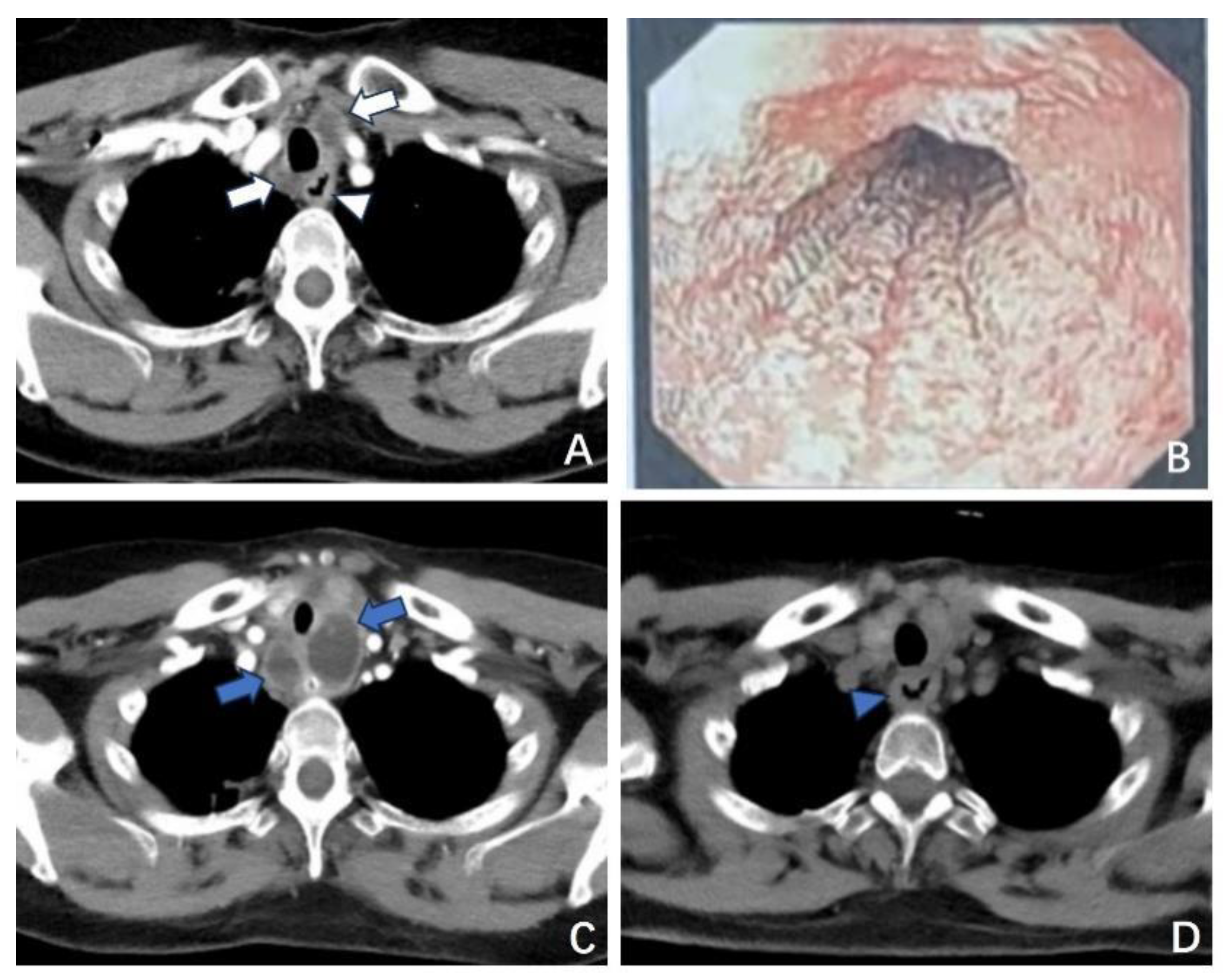 Preprints 152450 g005