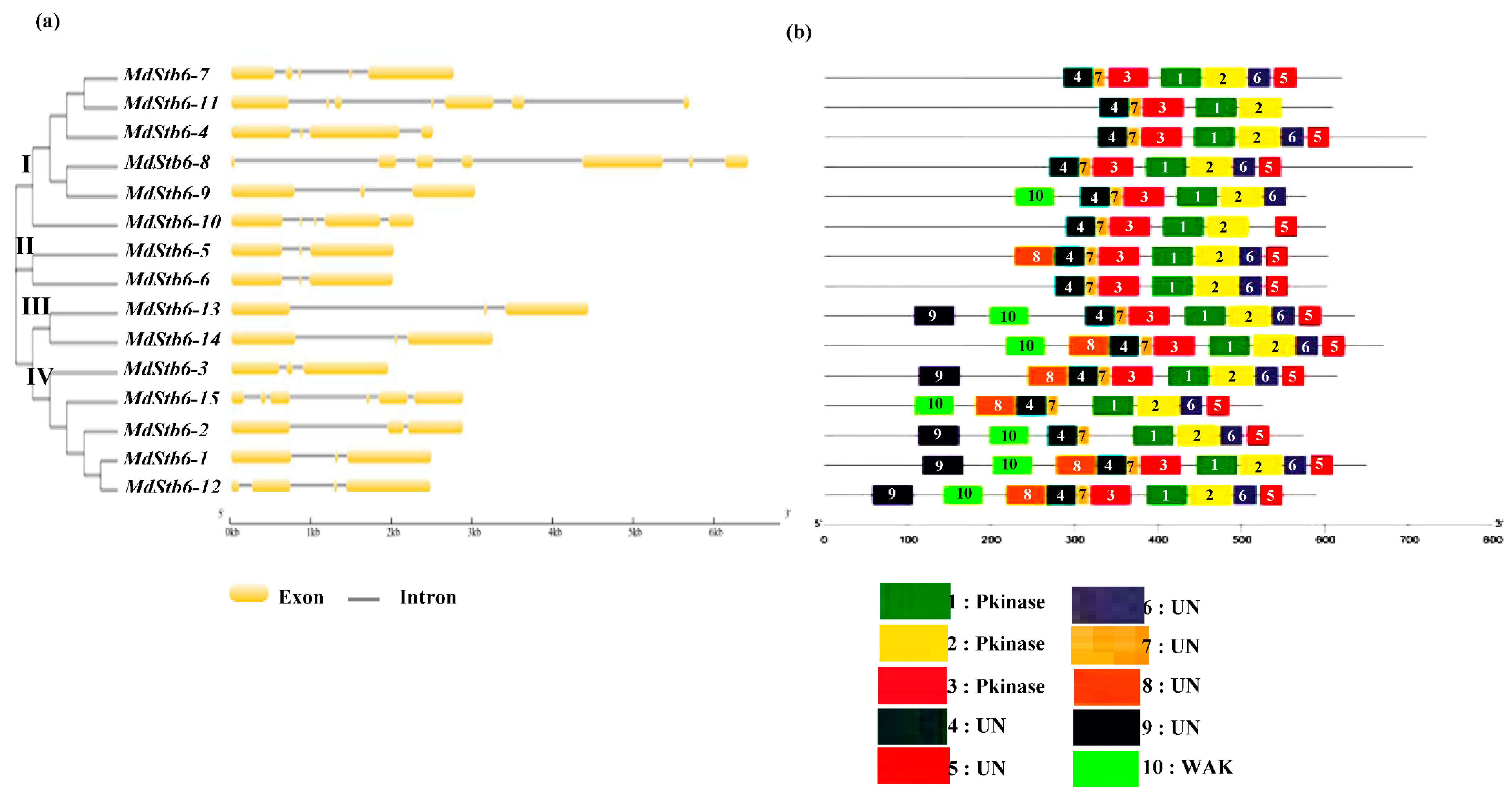 Preprints 152705 g002a