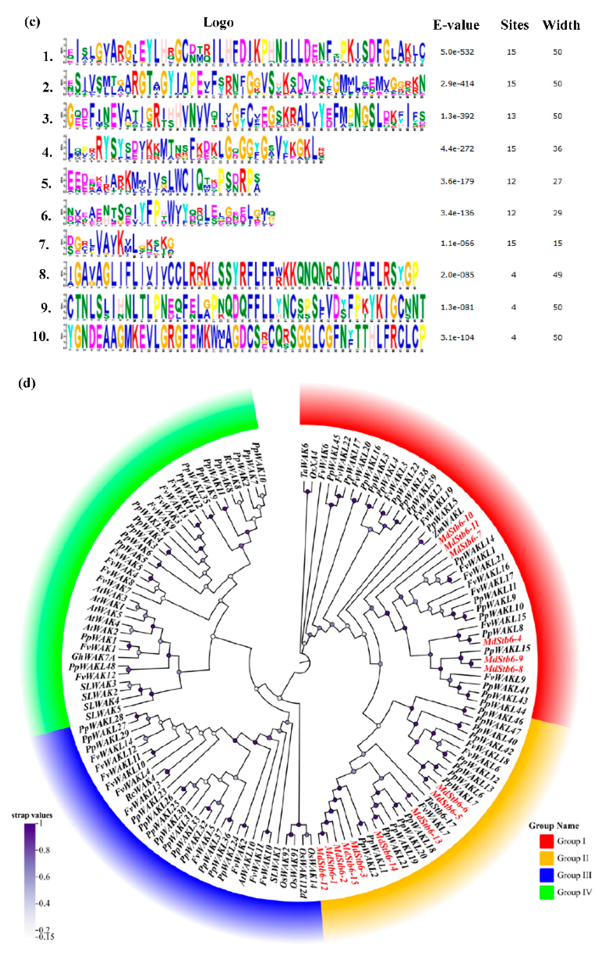 Preprints 152705 g002b