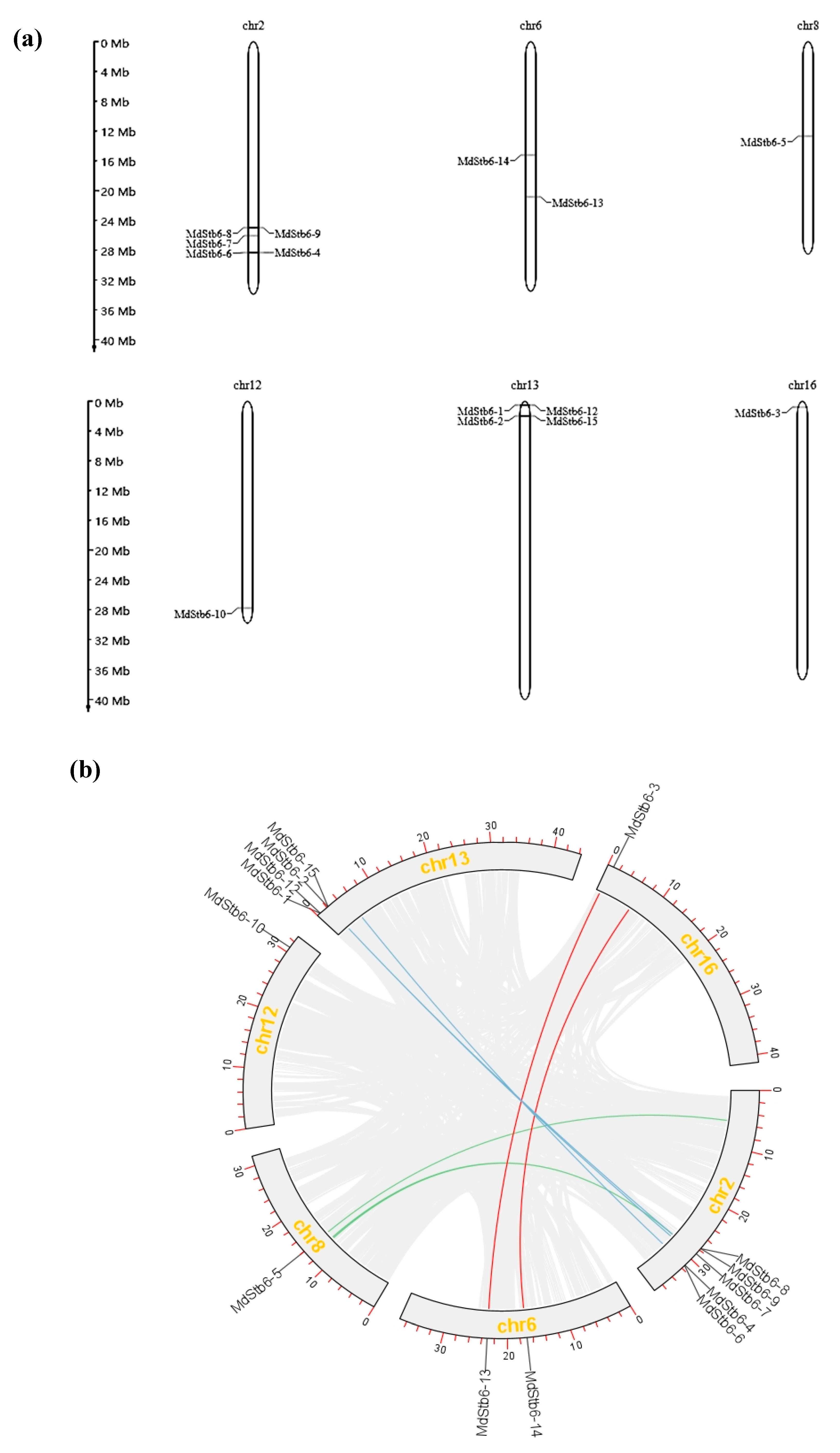 Preprints 152705 g003