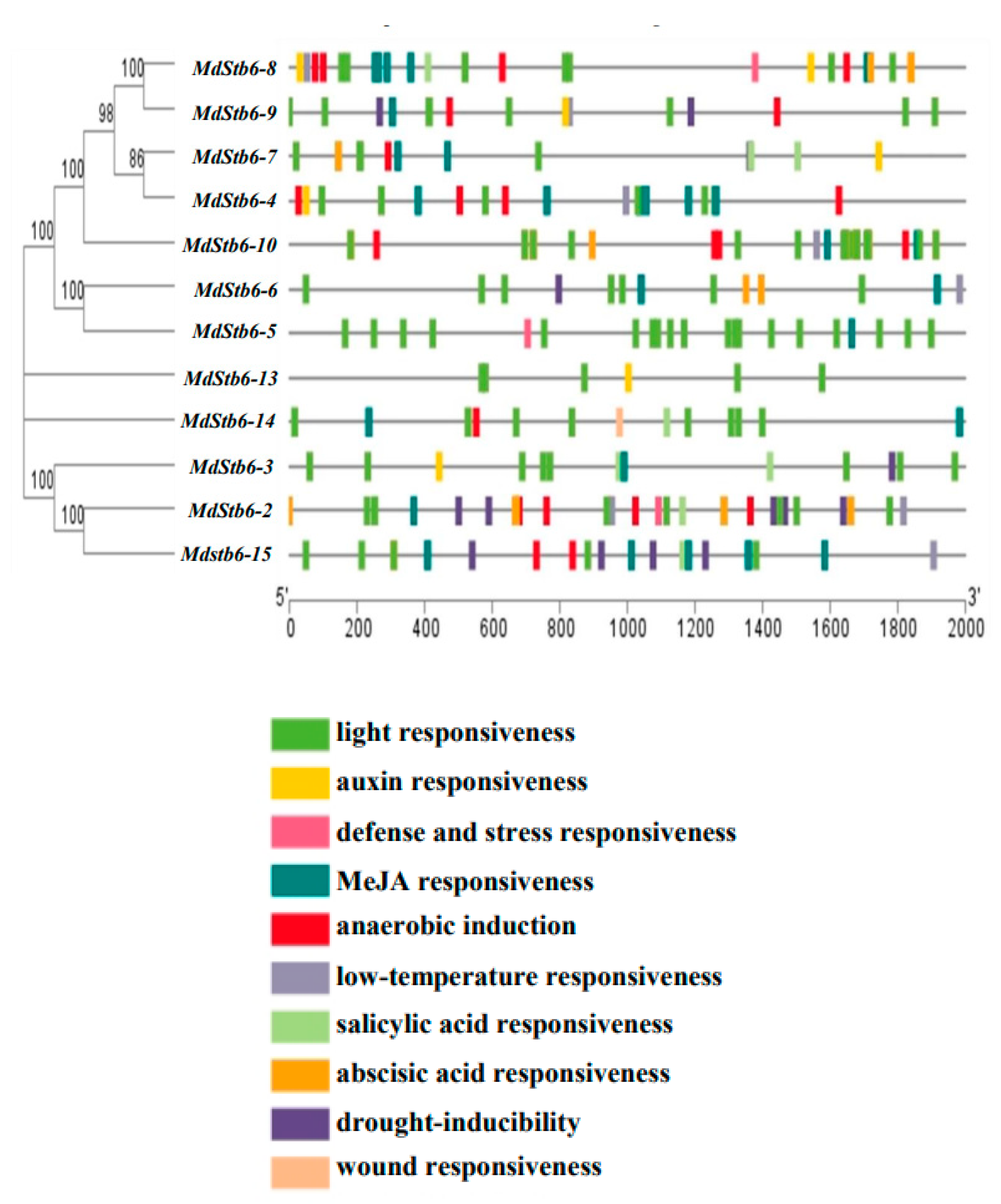 Preprints 152705 g004