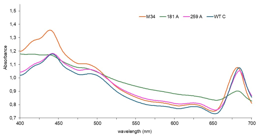 Preprints 223424 g003 Preprints 223424 g003