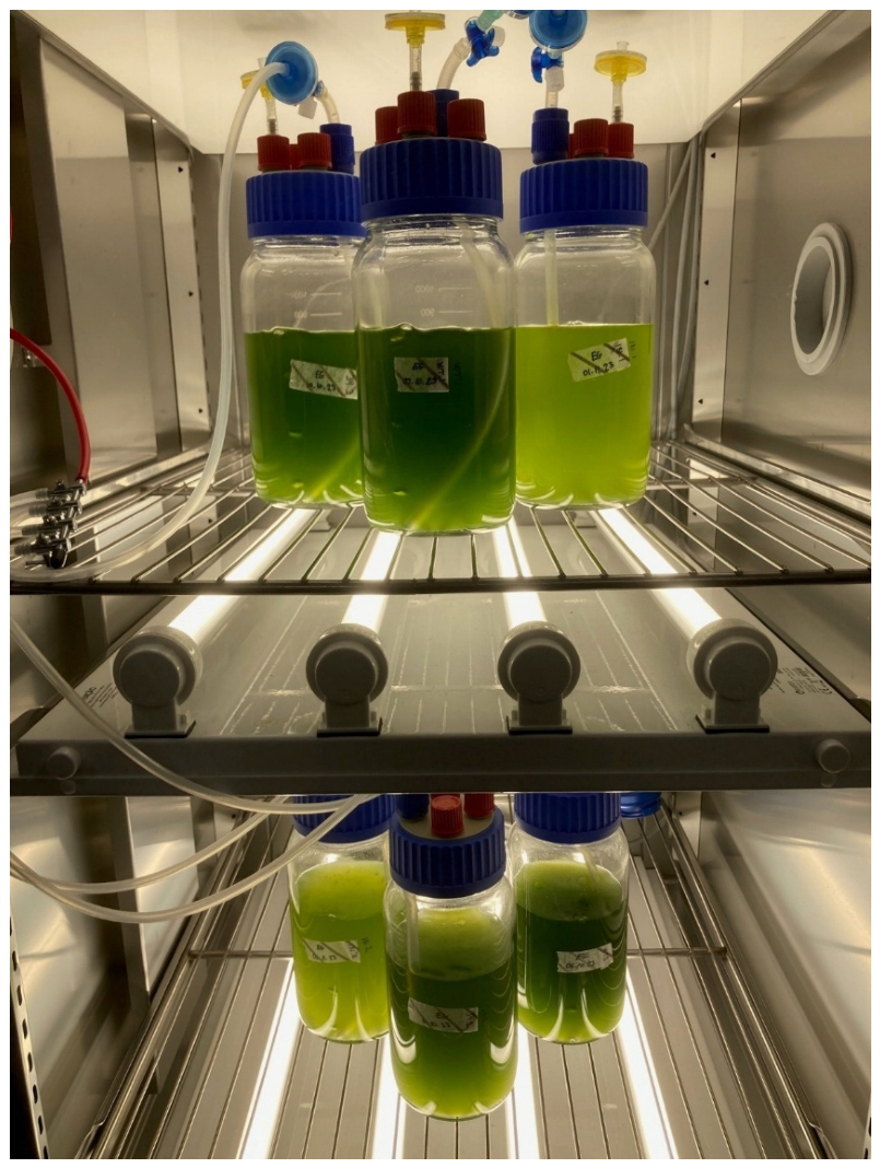 Preprints 223424 g0a1 Preprints 223424 g0a1