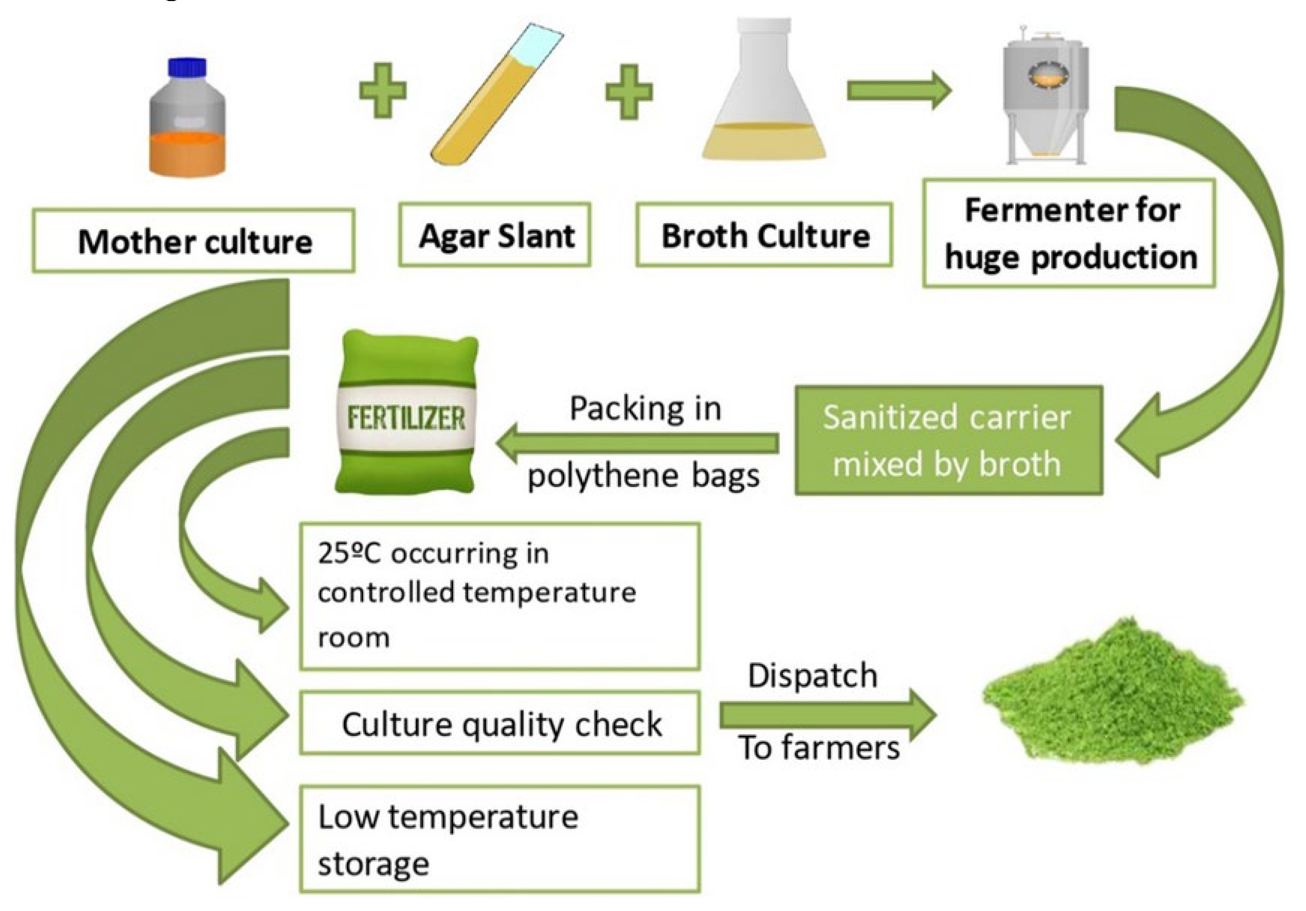 Preprints 121264 g002