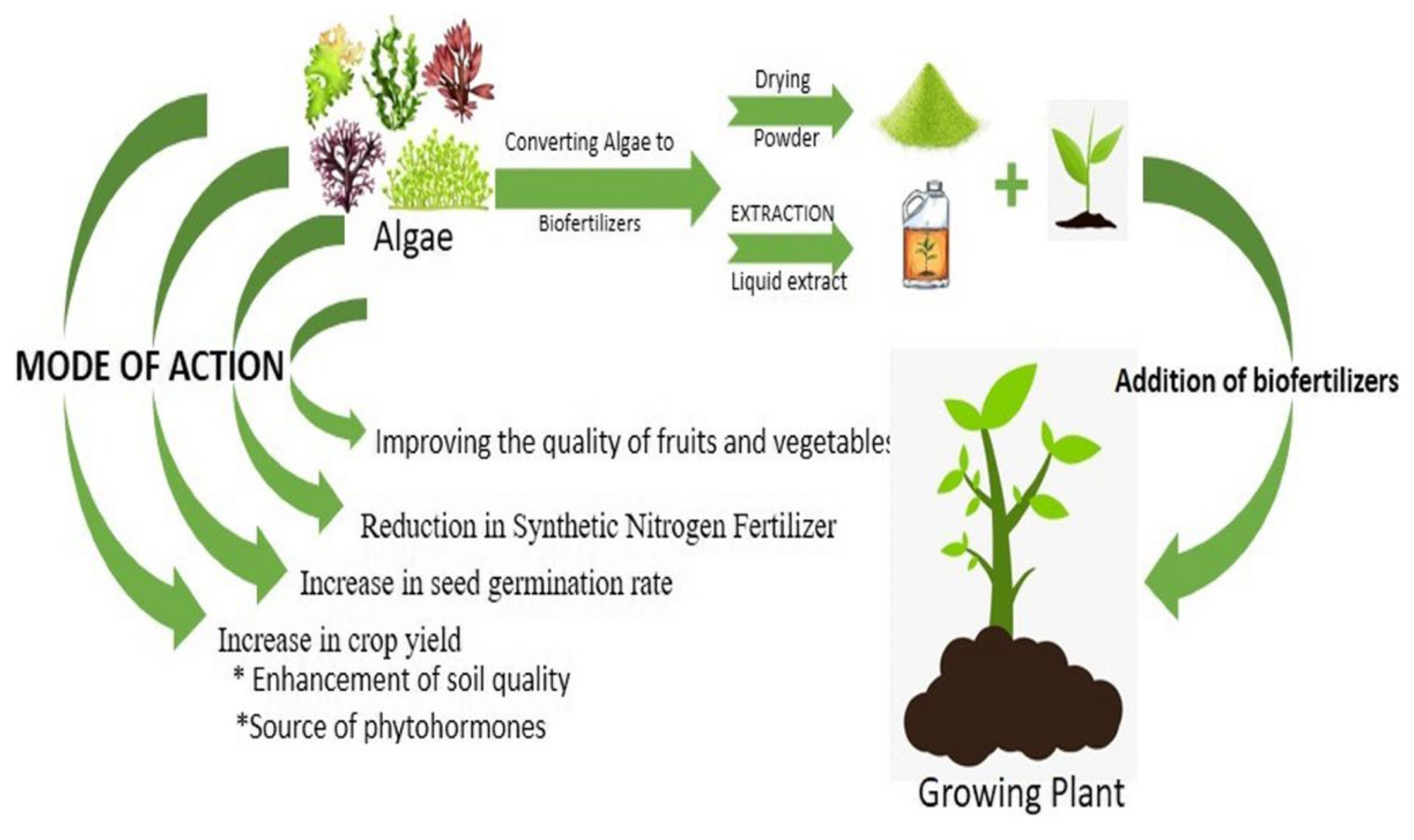 Preprints 121264 g003