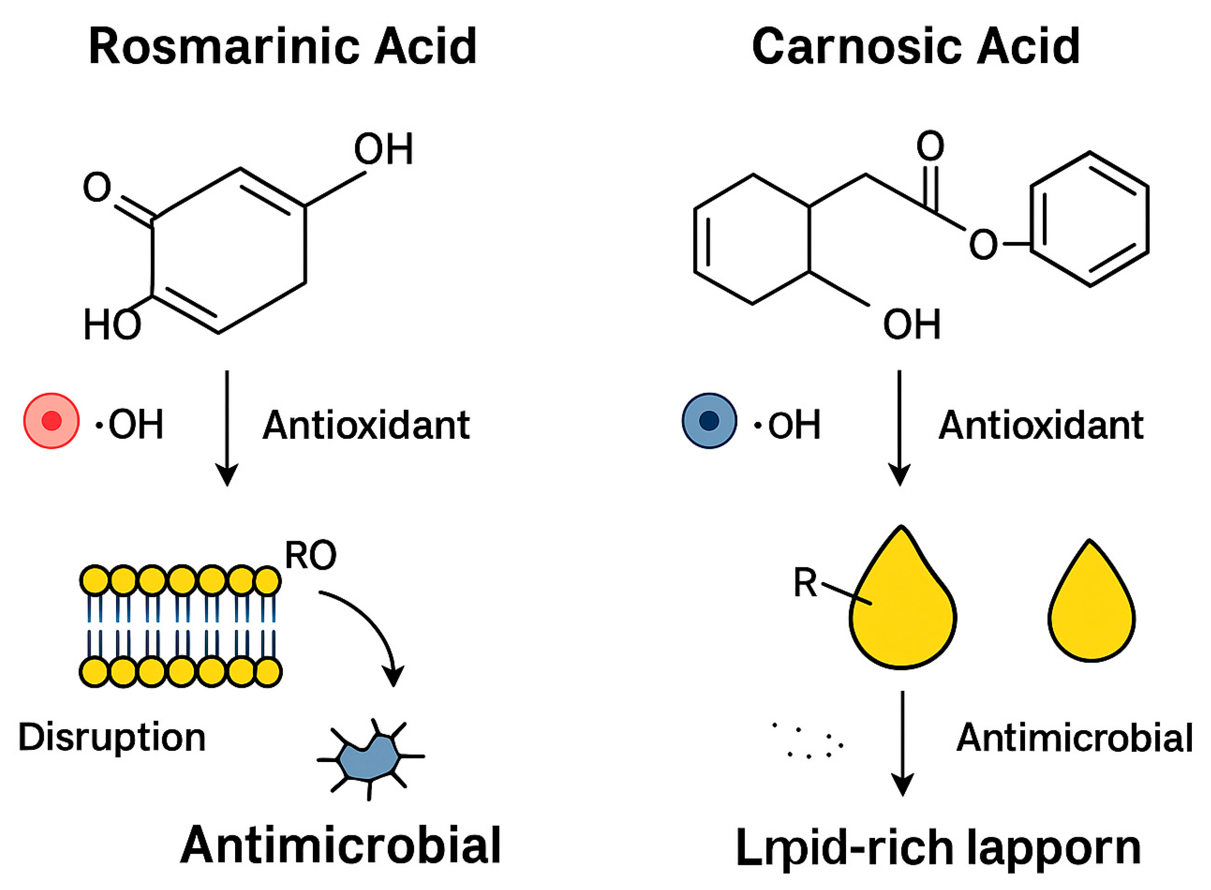 Preprints 179524 g021