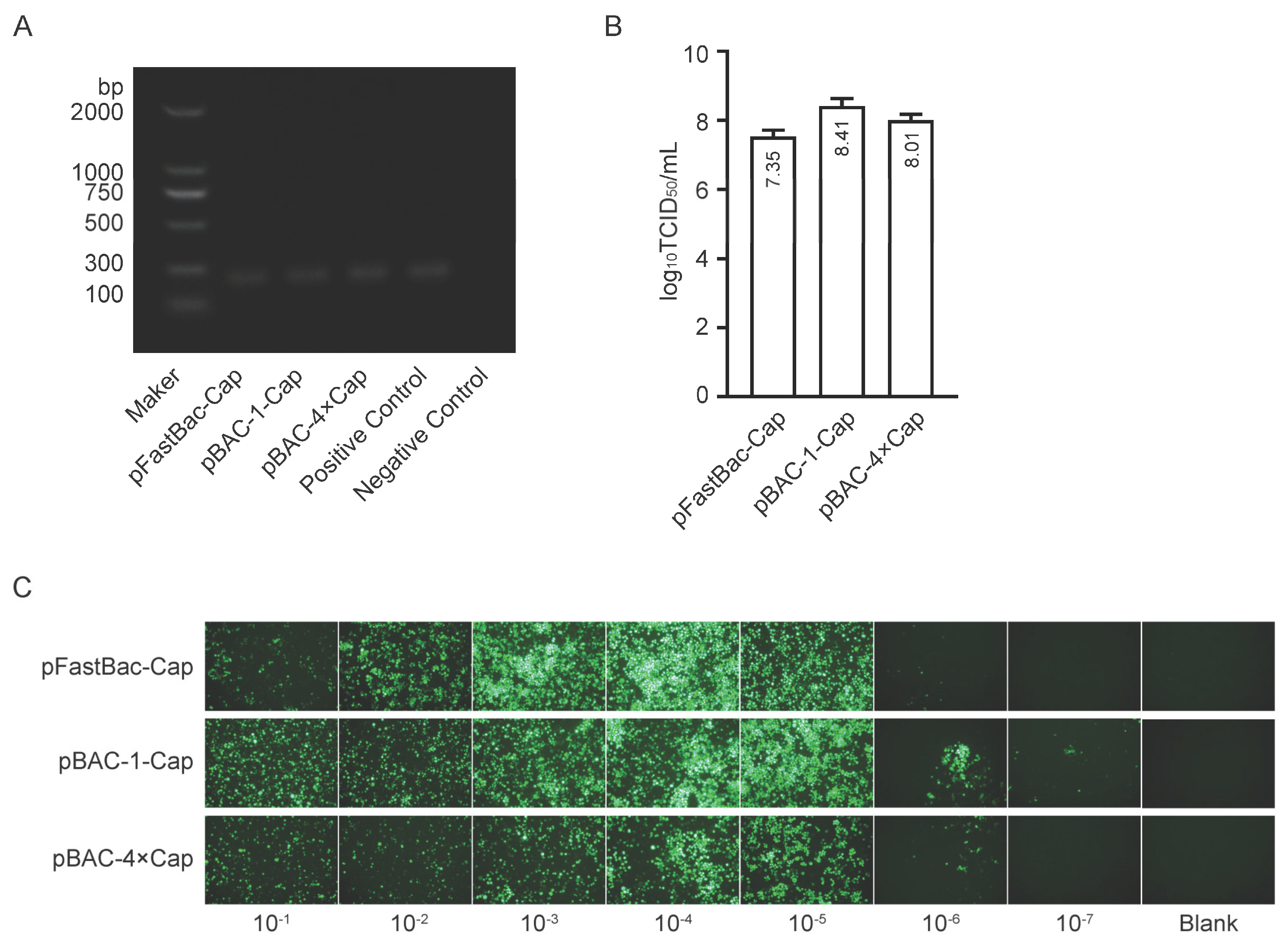 Preprints 164501 g003
