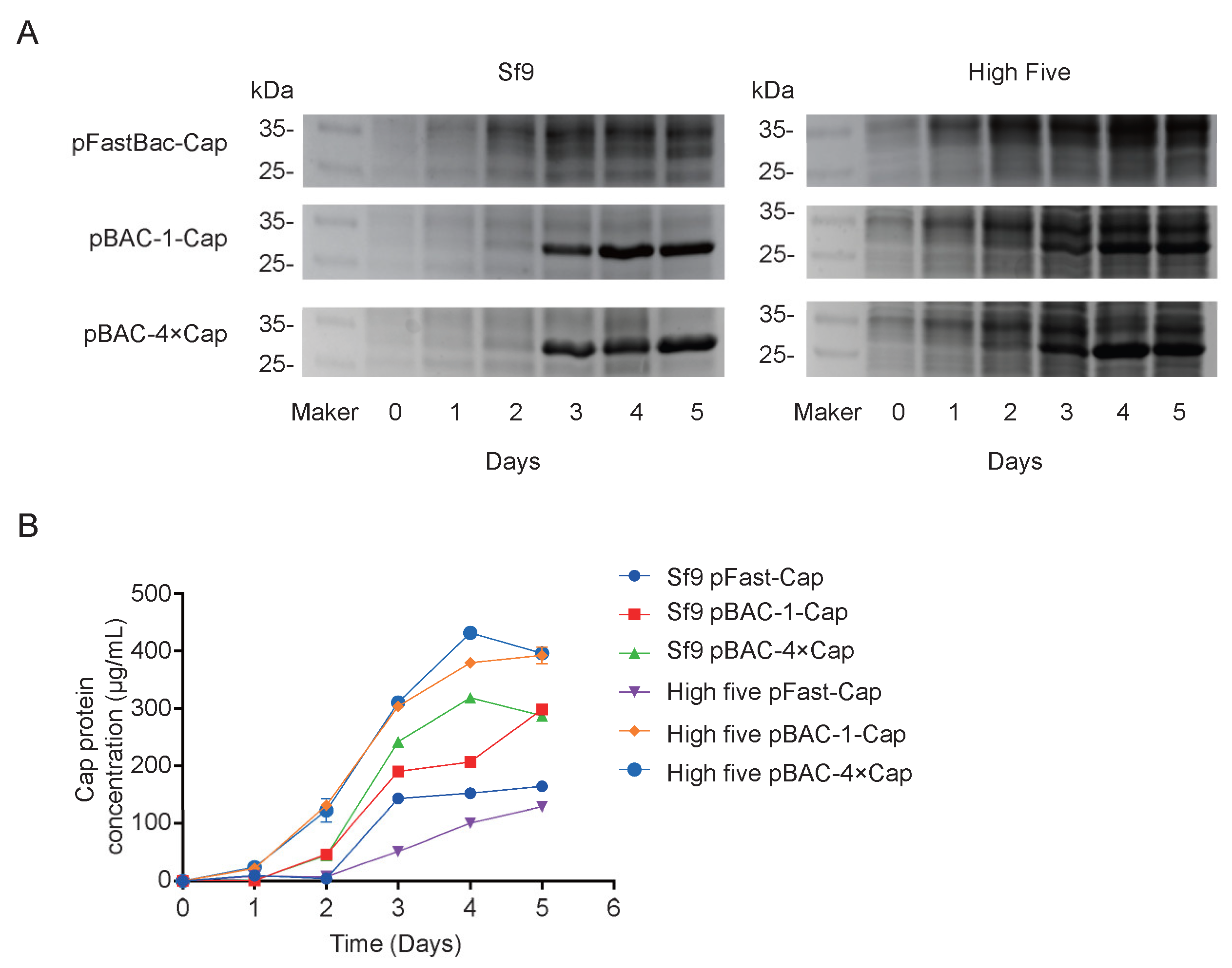 Preprints 164501 g005