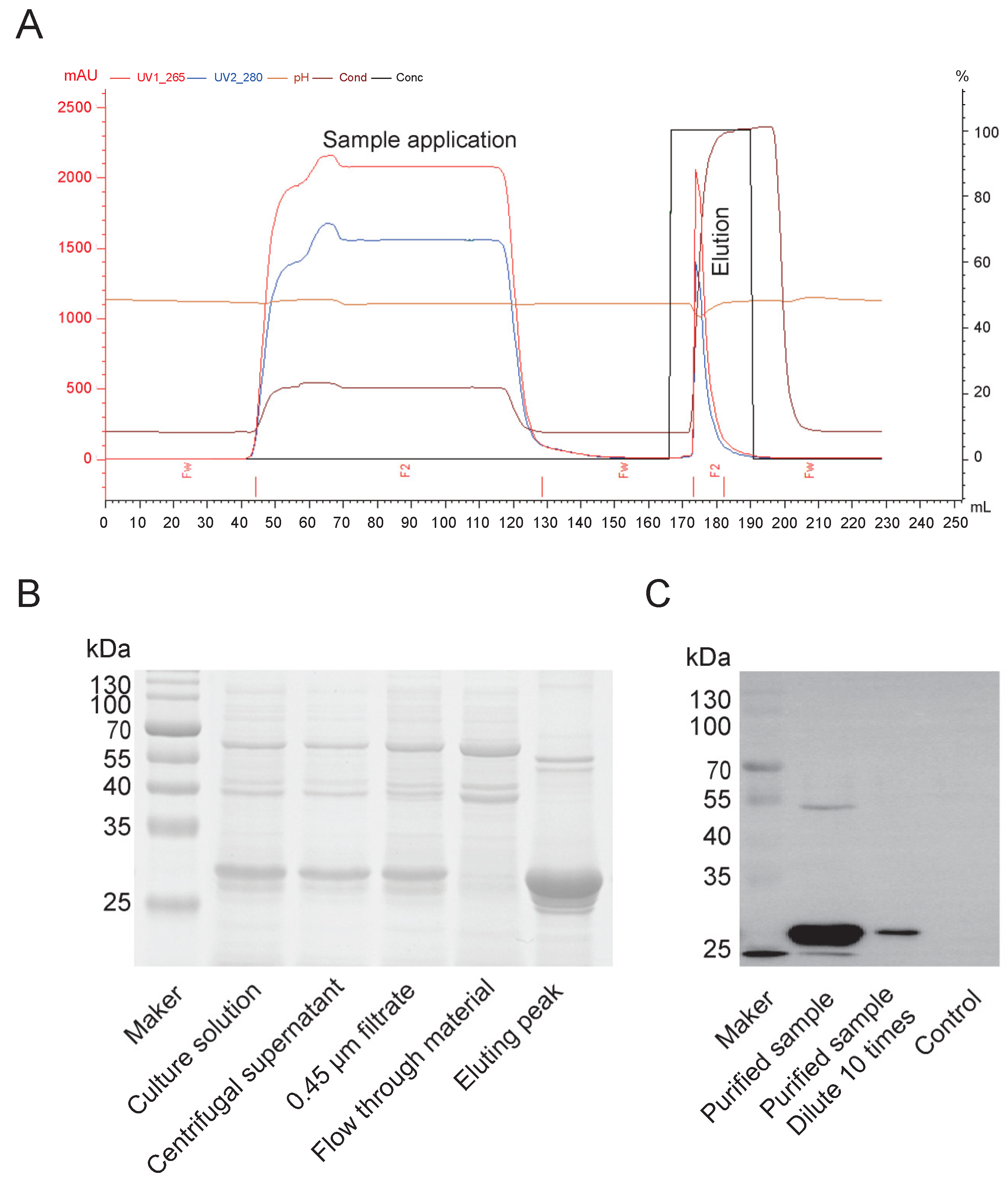 Preprints 164501 g006