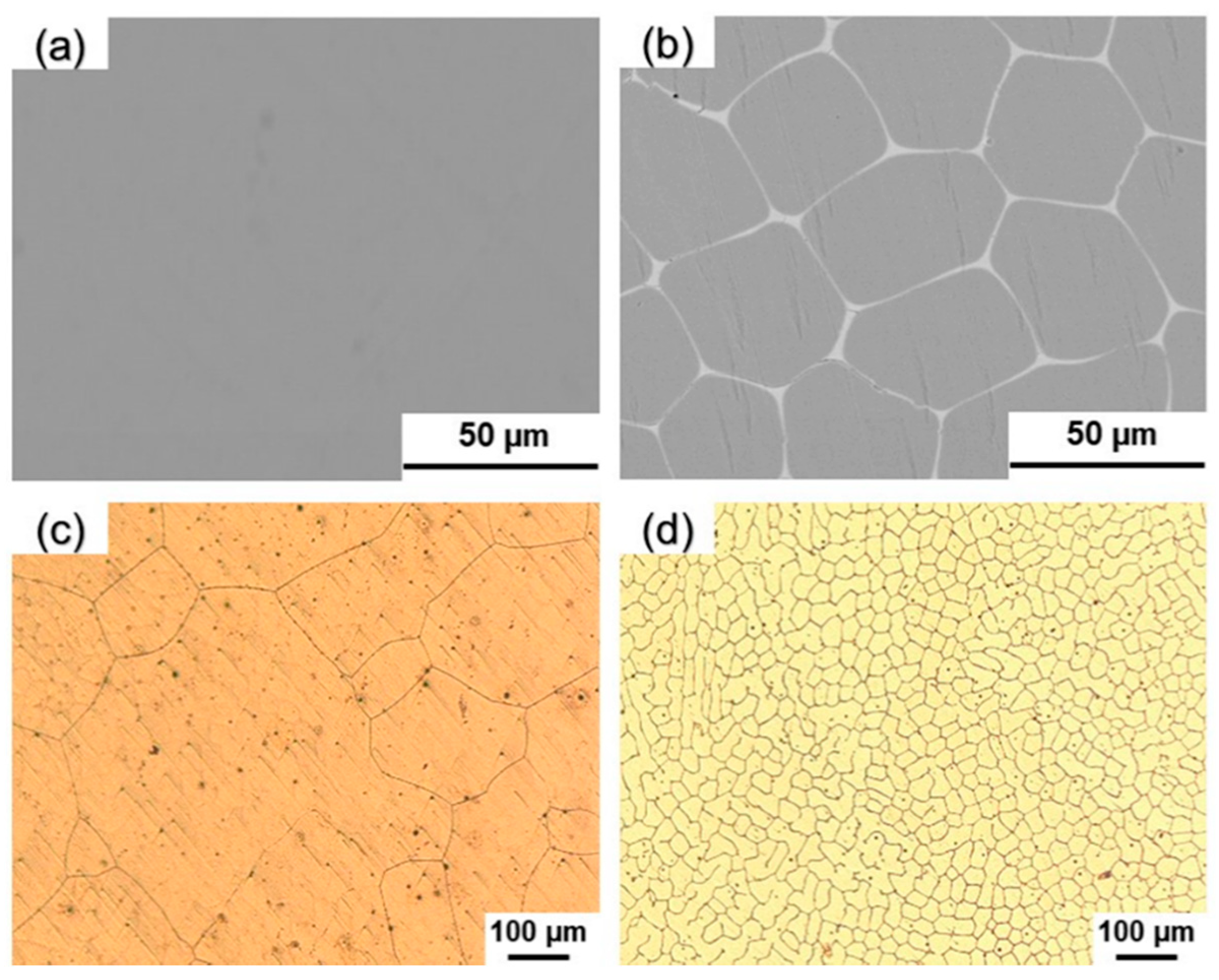 Preprints 91370 g001