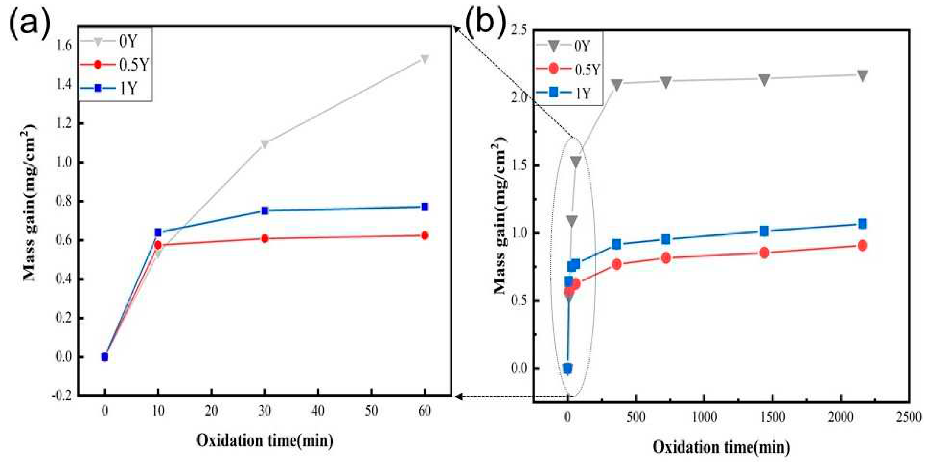 Preprints 91370 g003